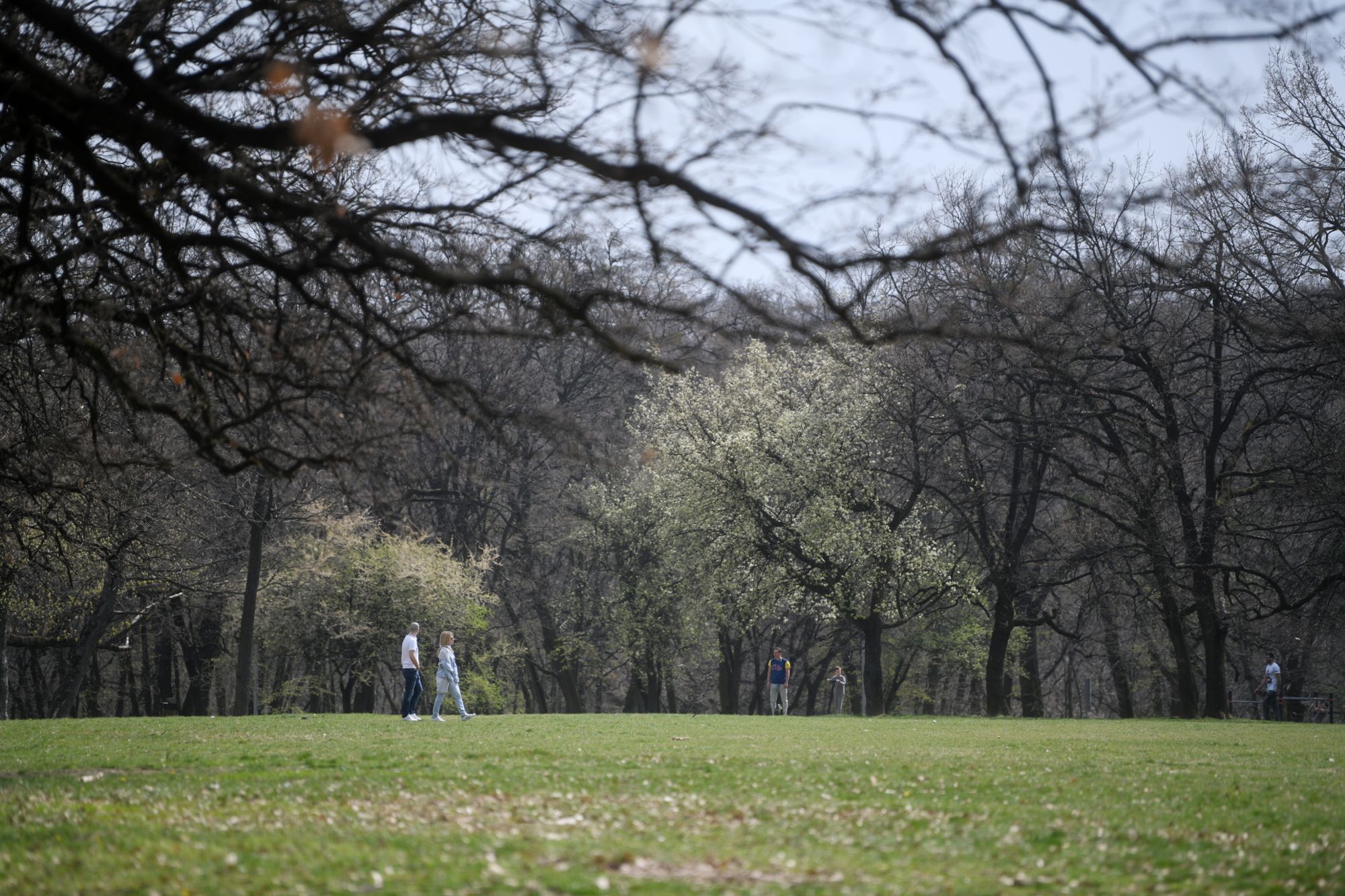 Beograd 29.03.2020. Košutnjak policija rasteruje ljude vanredno stanje pandemija koronavirus Foto:Filip Krainčanić/Nova.rs