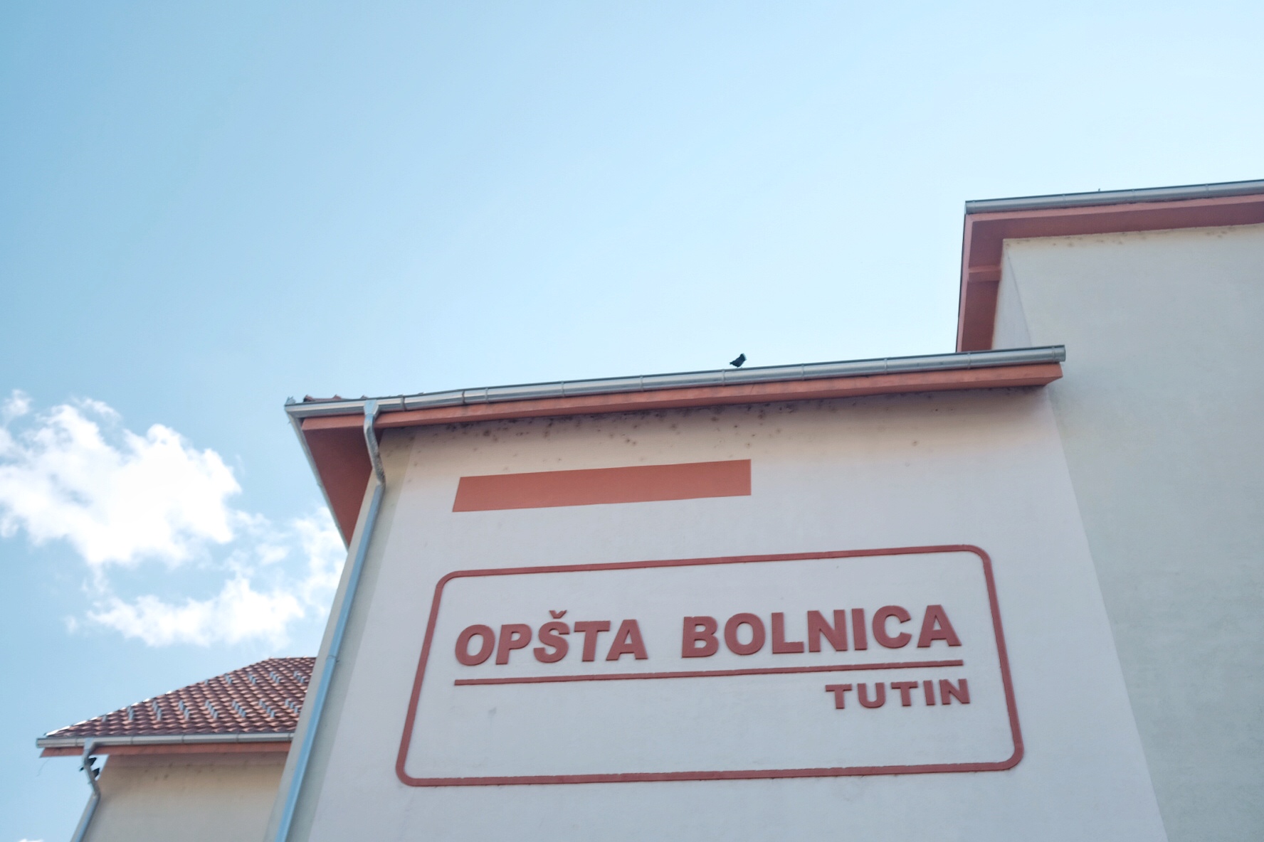 tutin koronavirus foto irfan mensur (5)