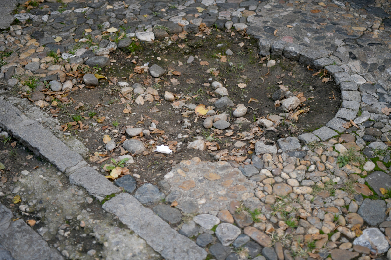 19.10.2020. Skadarska ulica, kaldrma, propala