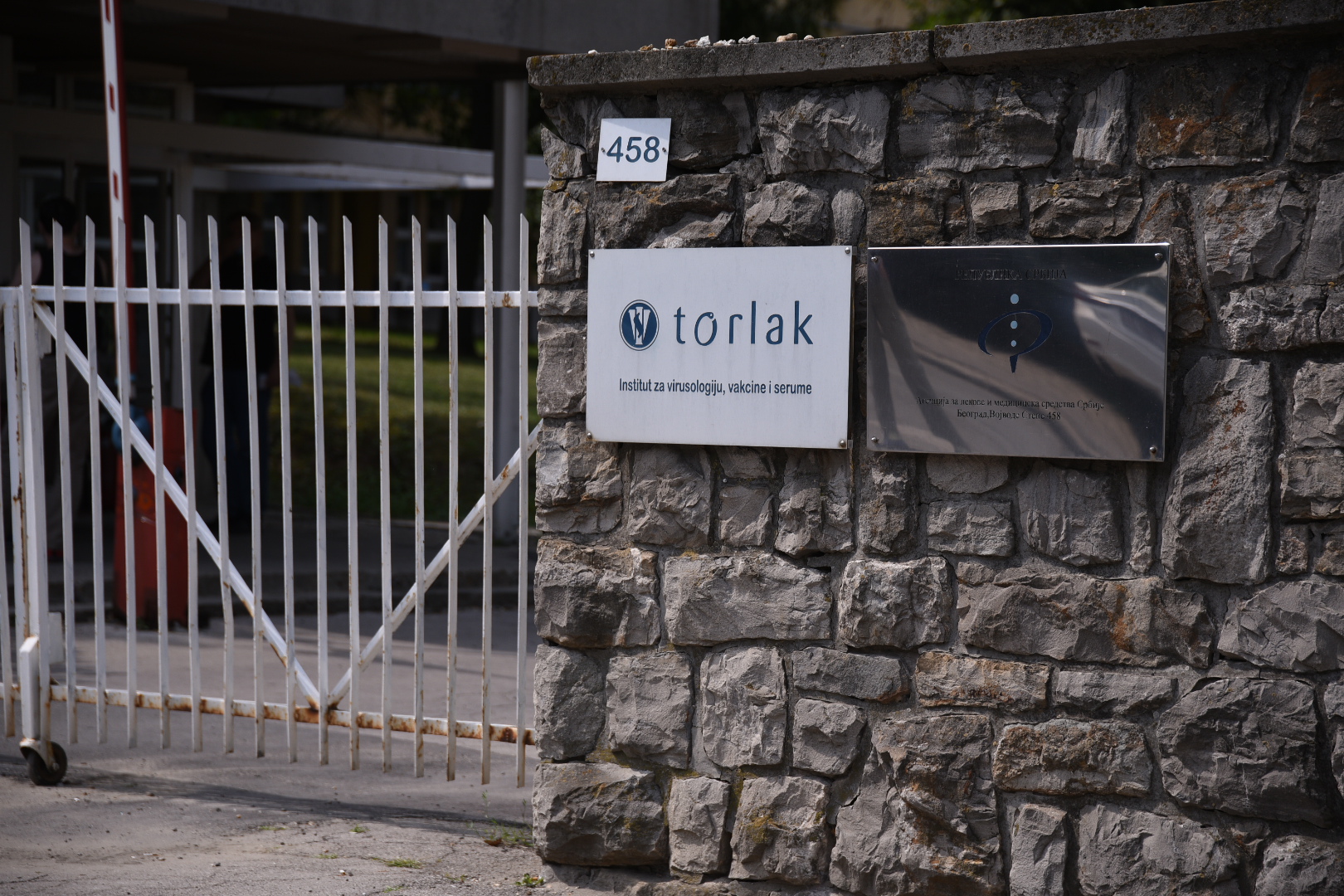 Beograd, 15. jul 2020. Torlak, gužva, redovi, gužve za testiranje, koronavirus Foto: Dragan Mujan/Nova.rs