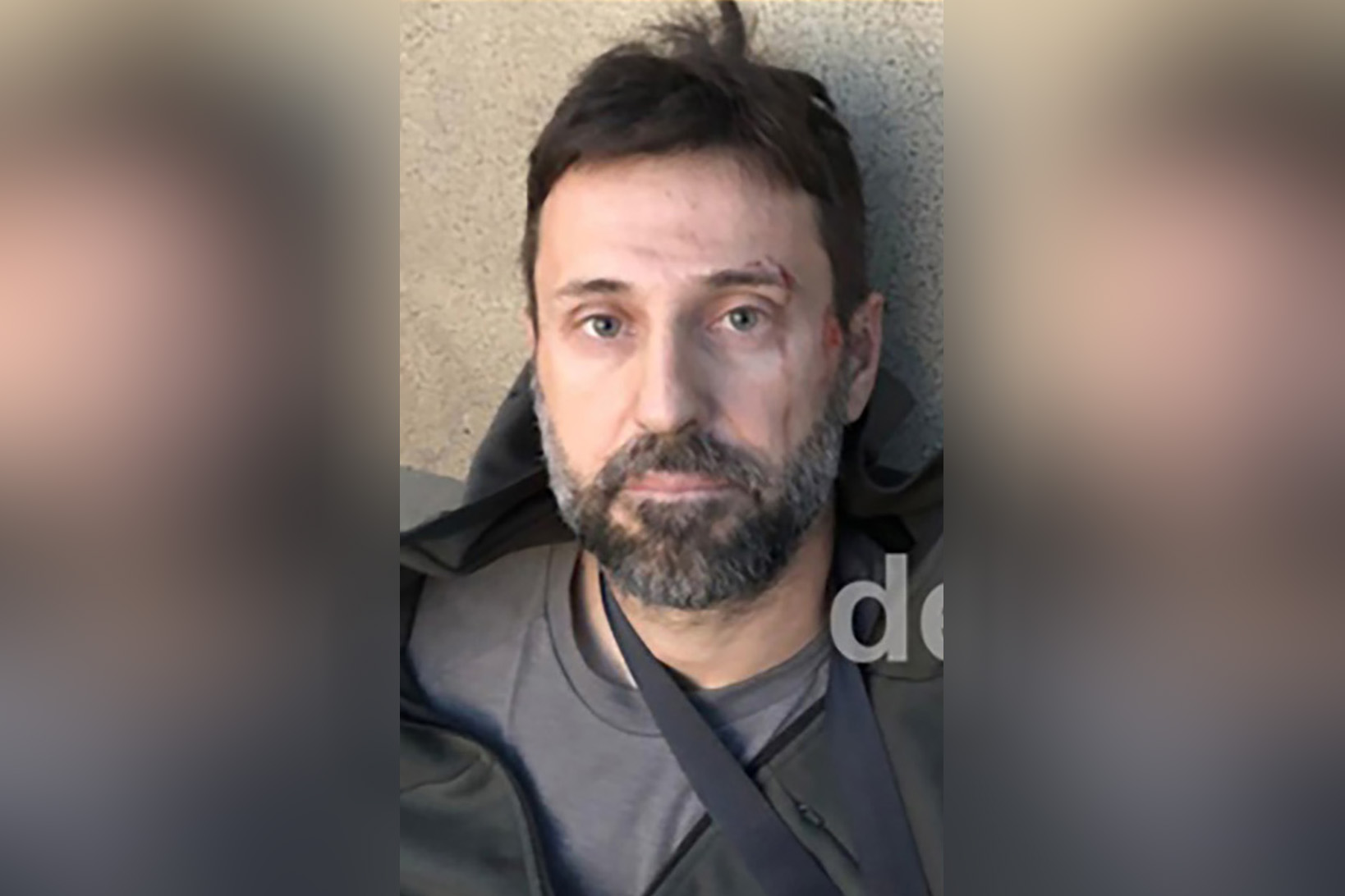 Petar Jovanović, Zvicer