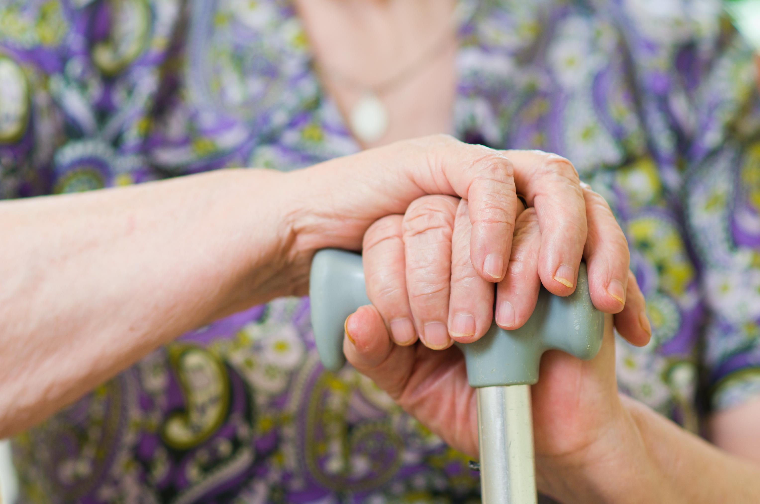 shutterstock_109983719