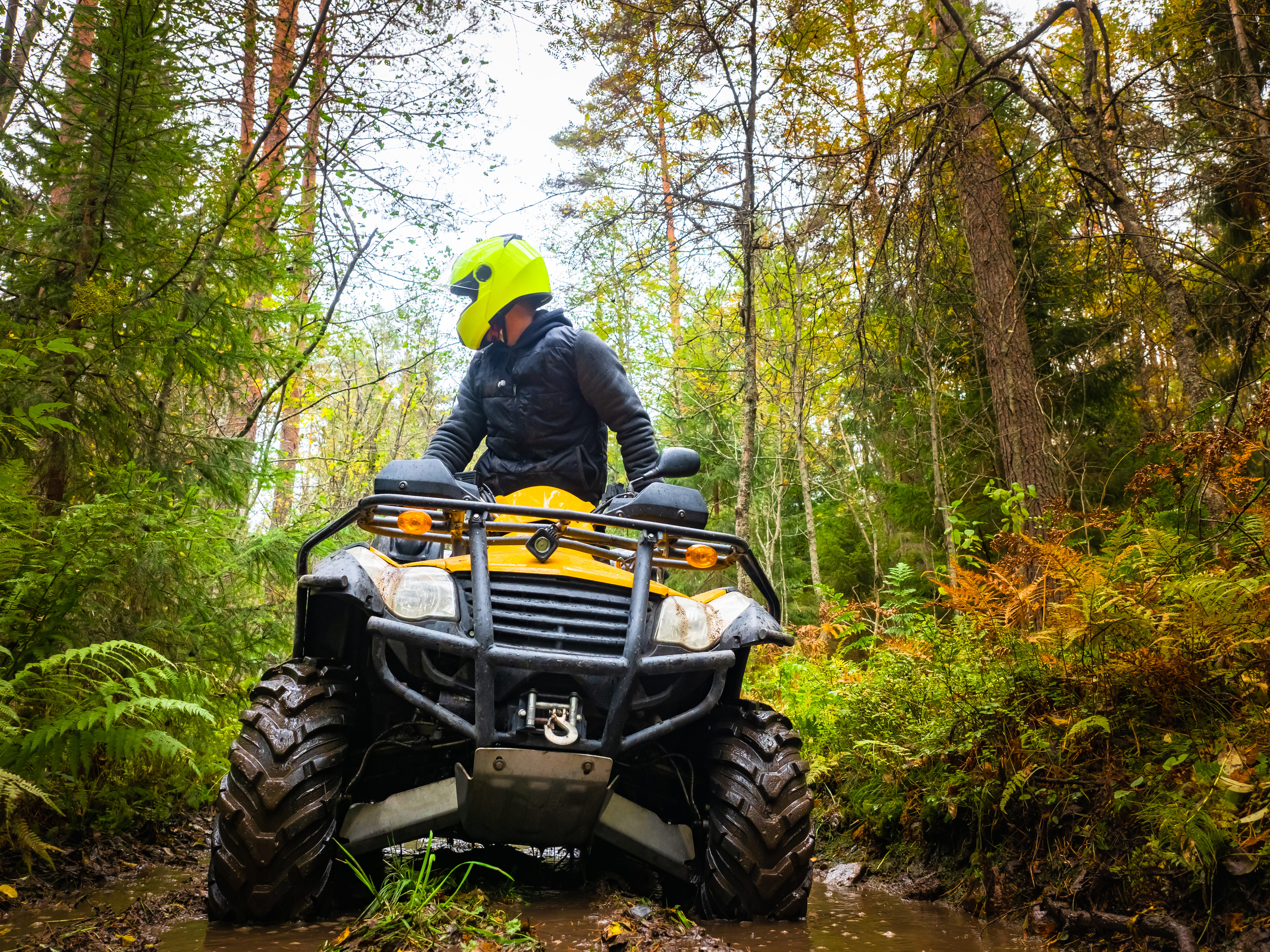 Kvad, ATV, motor Foto: Shutterstock