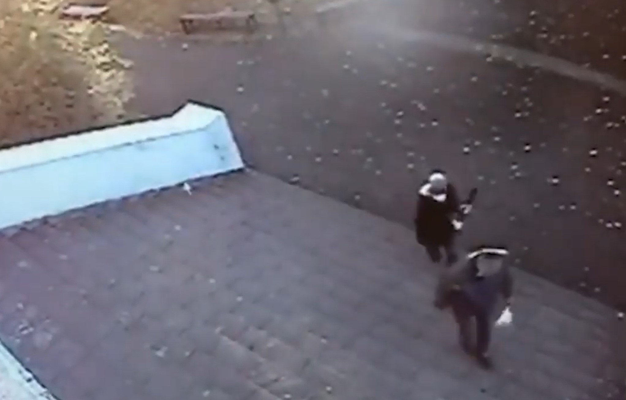 Napadnut profesor Ekonomsko-trgovačke škole u Boru