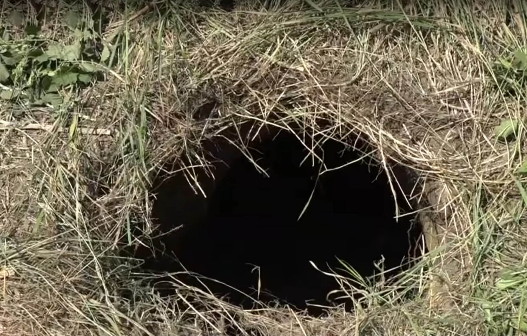 Madjarska, Mađarska, policija, granica, tunel, granica Srbije i Madjarske, Srbija Foto: Printscreen/YouTube/ M1 - Híradó