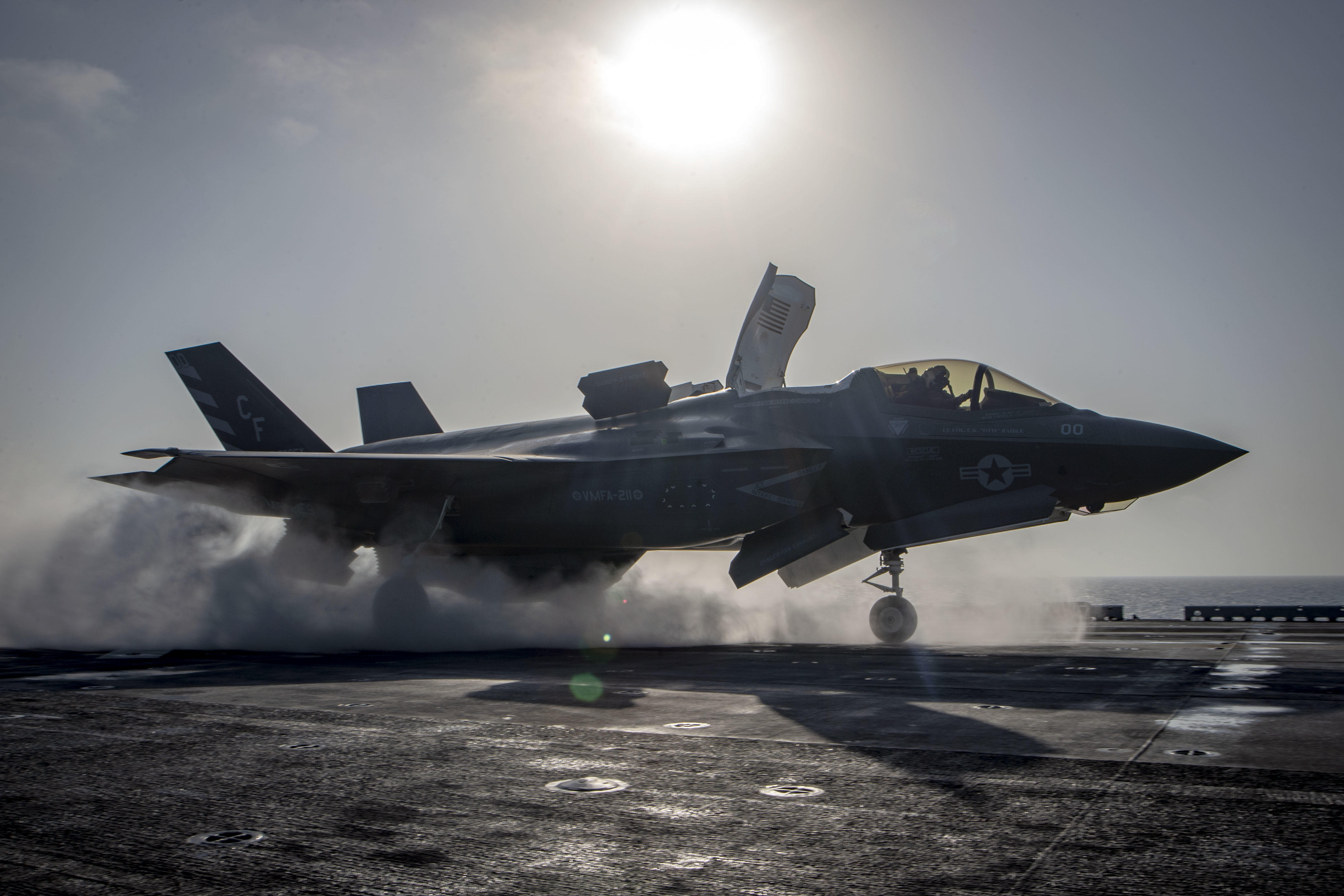 US military grounds entire F-35 fighter jets fleet over South Carolina crash