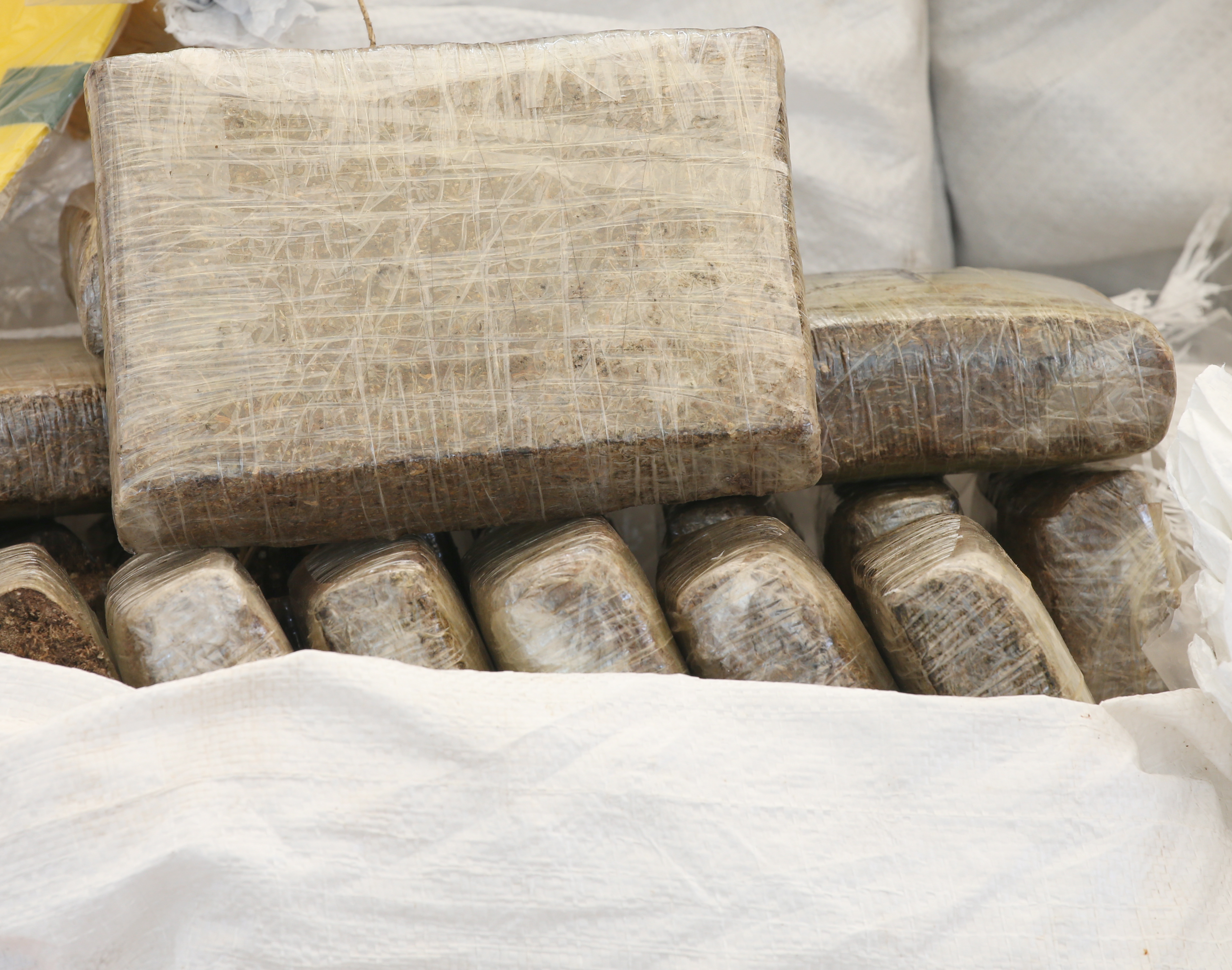 More than 13 tons of illegal marijuana destroyed in Thailand zaplena marihuana