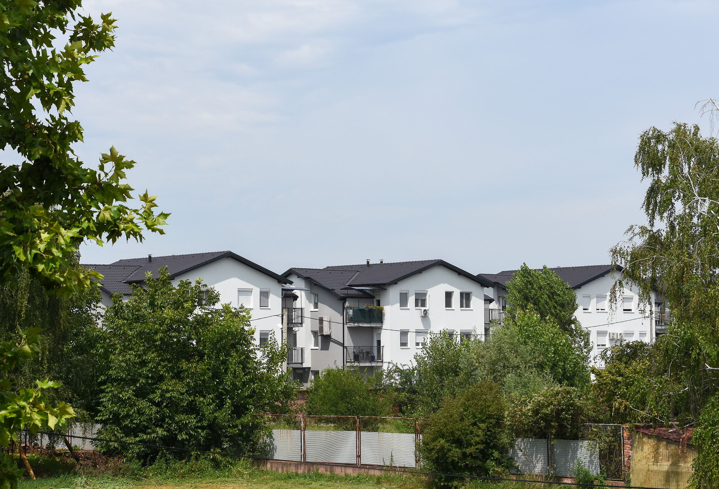 Novi Sad 04.08.2020 Telepska dolina foto Nenad Lazic