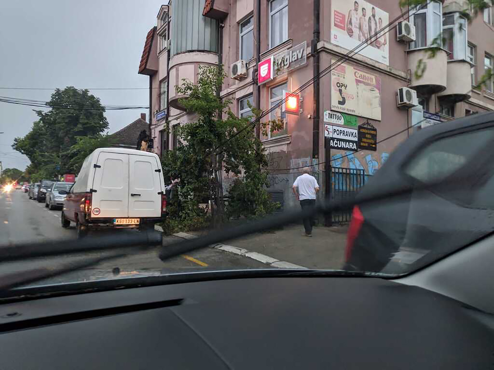 Kragujevac,nevreme, iščupano drvo, prosledila Nela