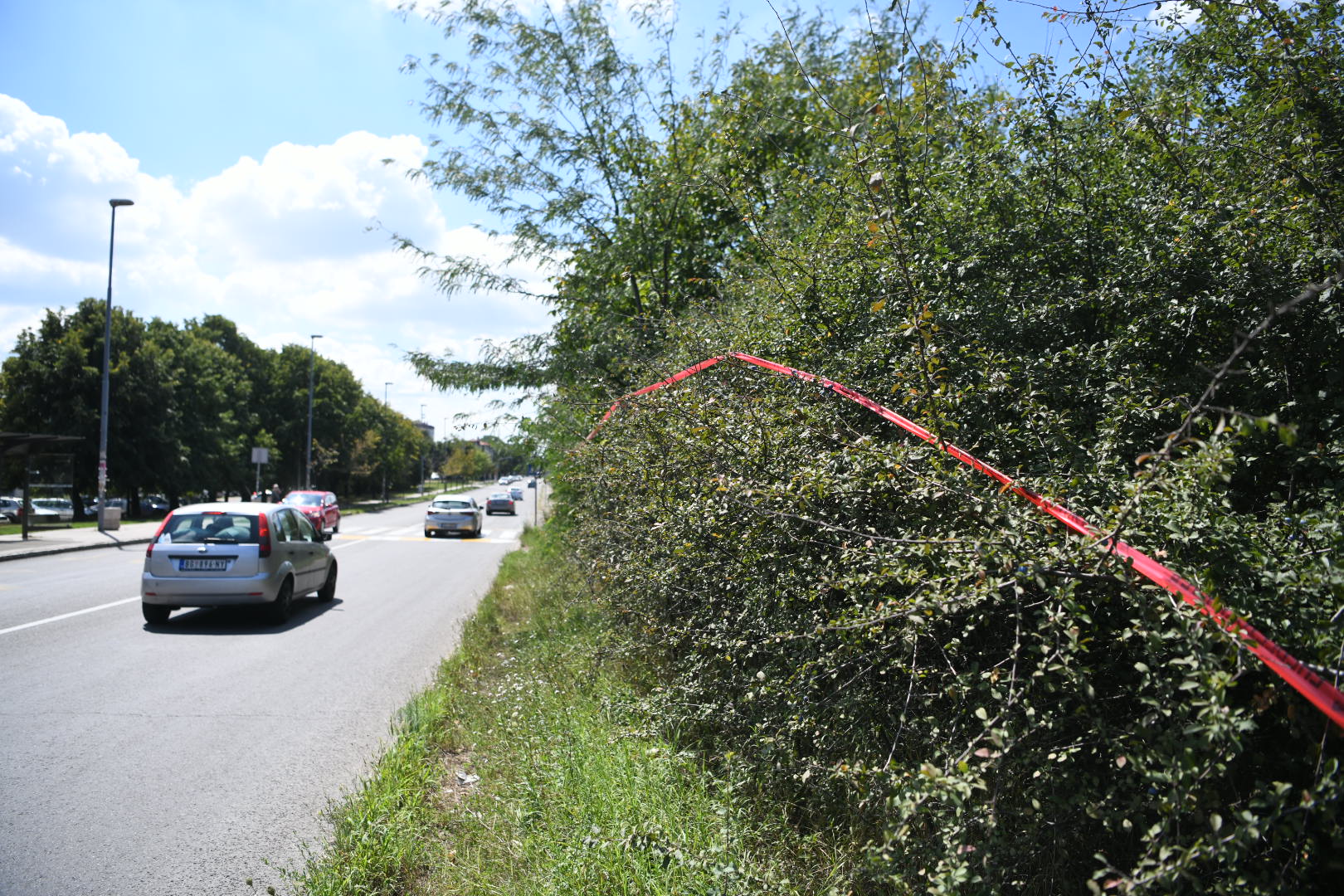 Beograd 20. avgust 2020. Kostunjak gradiliste ogradjena suma Foto:Vesna Lalić/Nova.rs