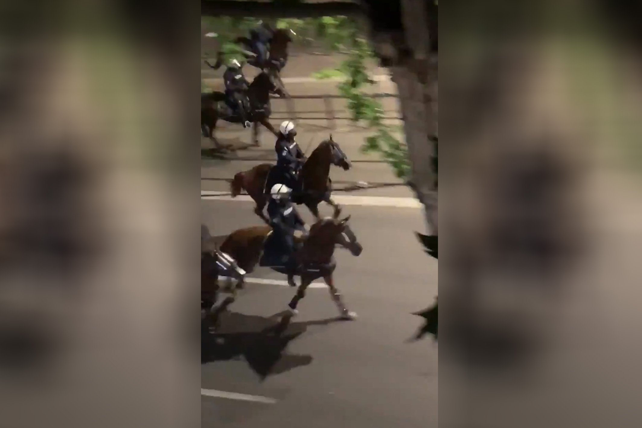 Konjica, policija, galop