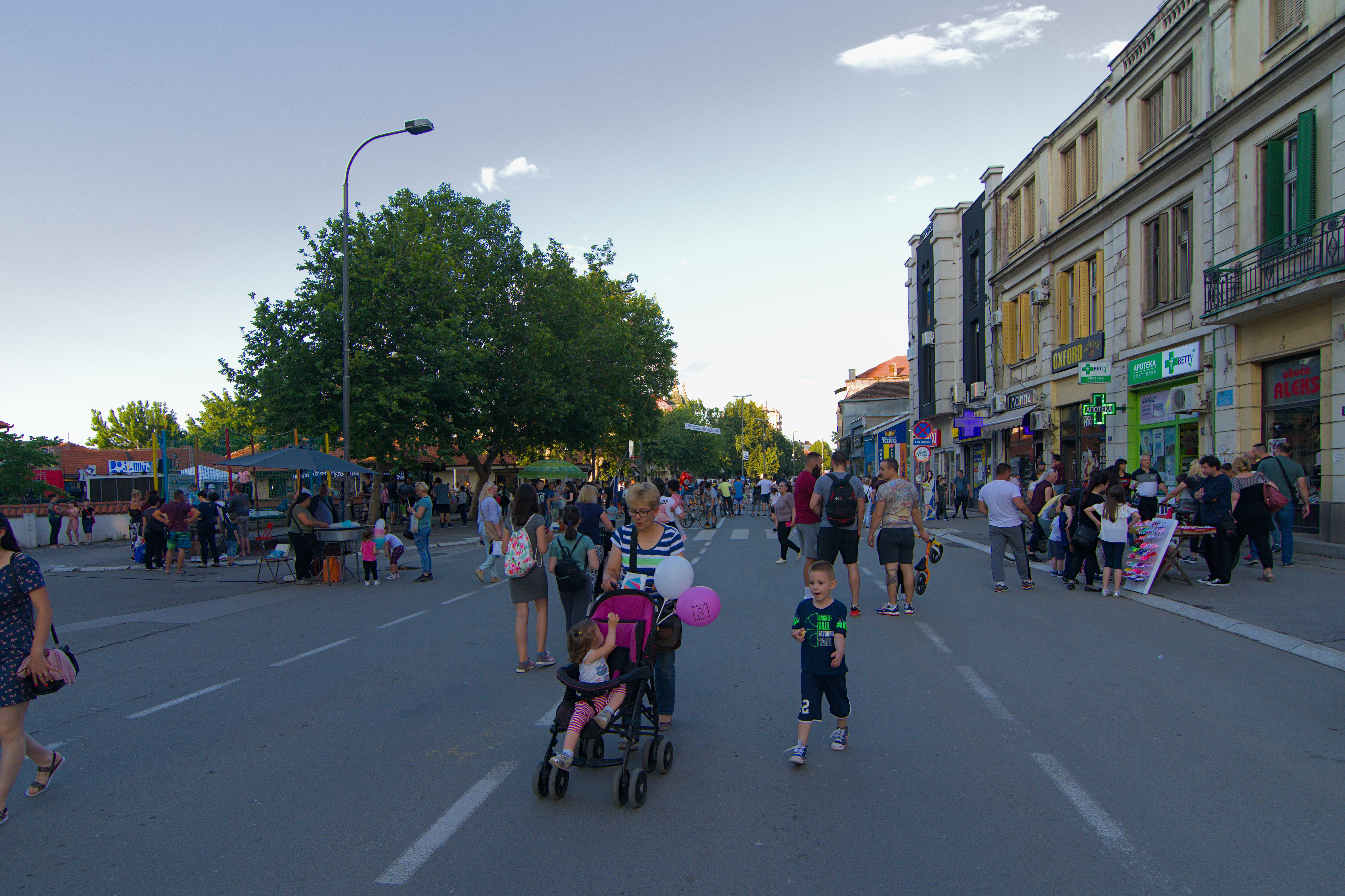 Leskovac, ilustracija Foto: Shutterstock/Dejan Trajkovic