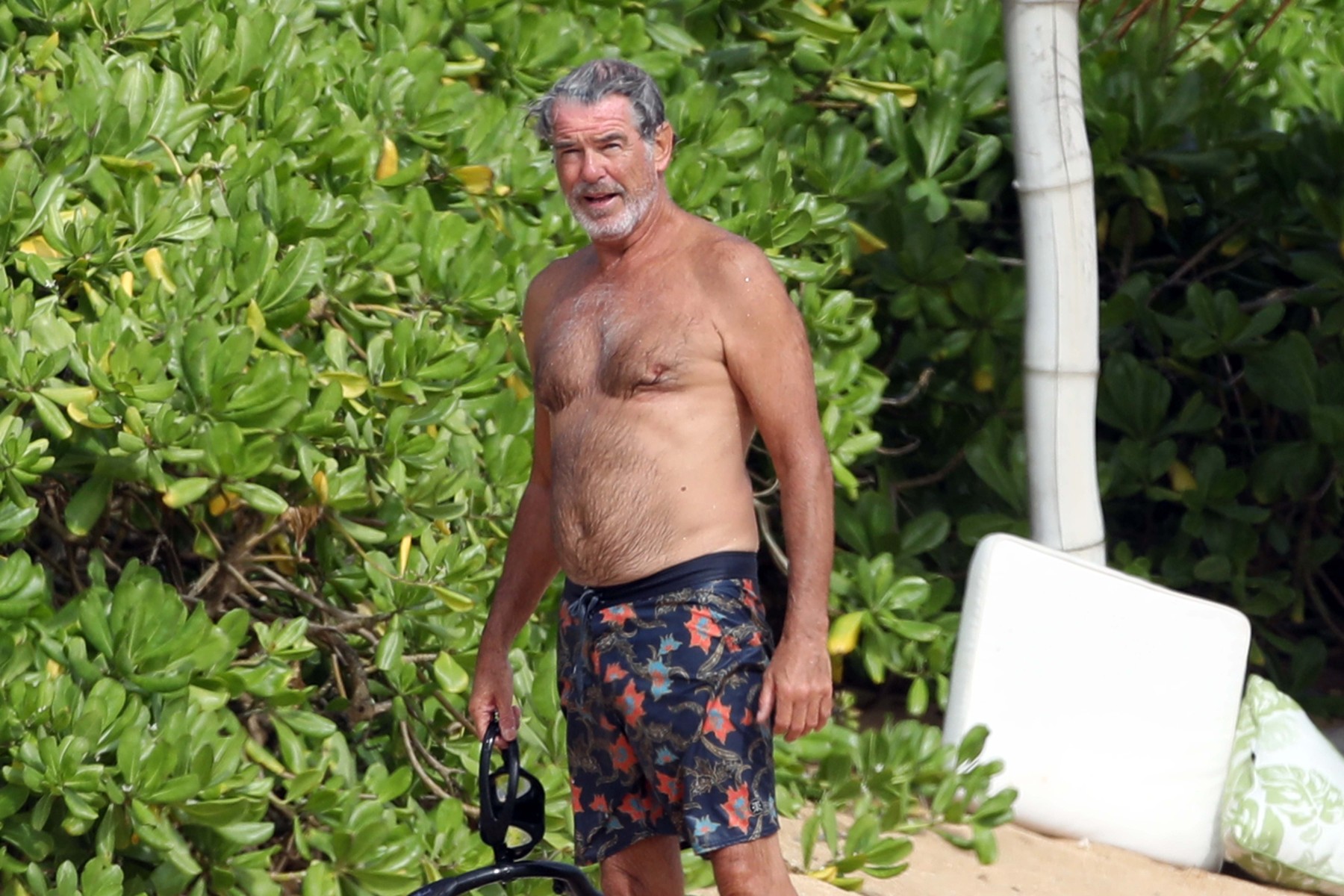 EXCLUSIVE: A shirtless Pierce Brosnan hits the beach in Hawaii