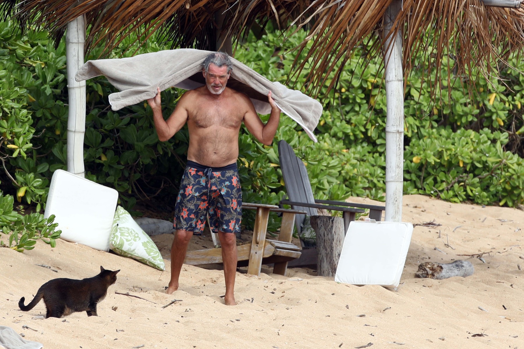EXCLUSIVE: A shirtless Pierce Brosnan hits the beach in Hawaii
