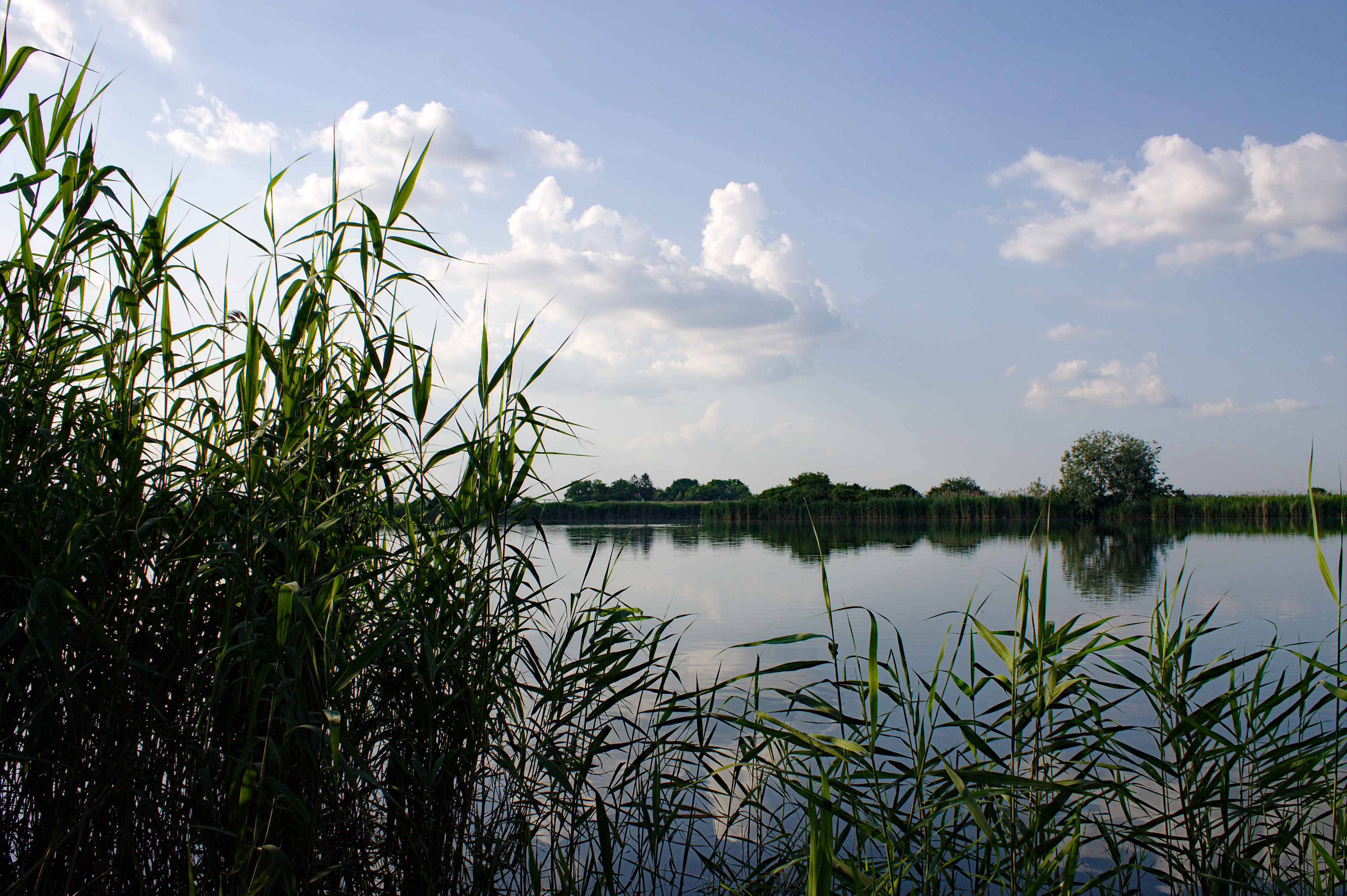 Omladinsko jezero Palić
