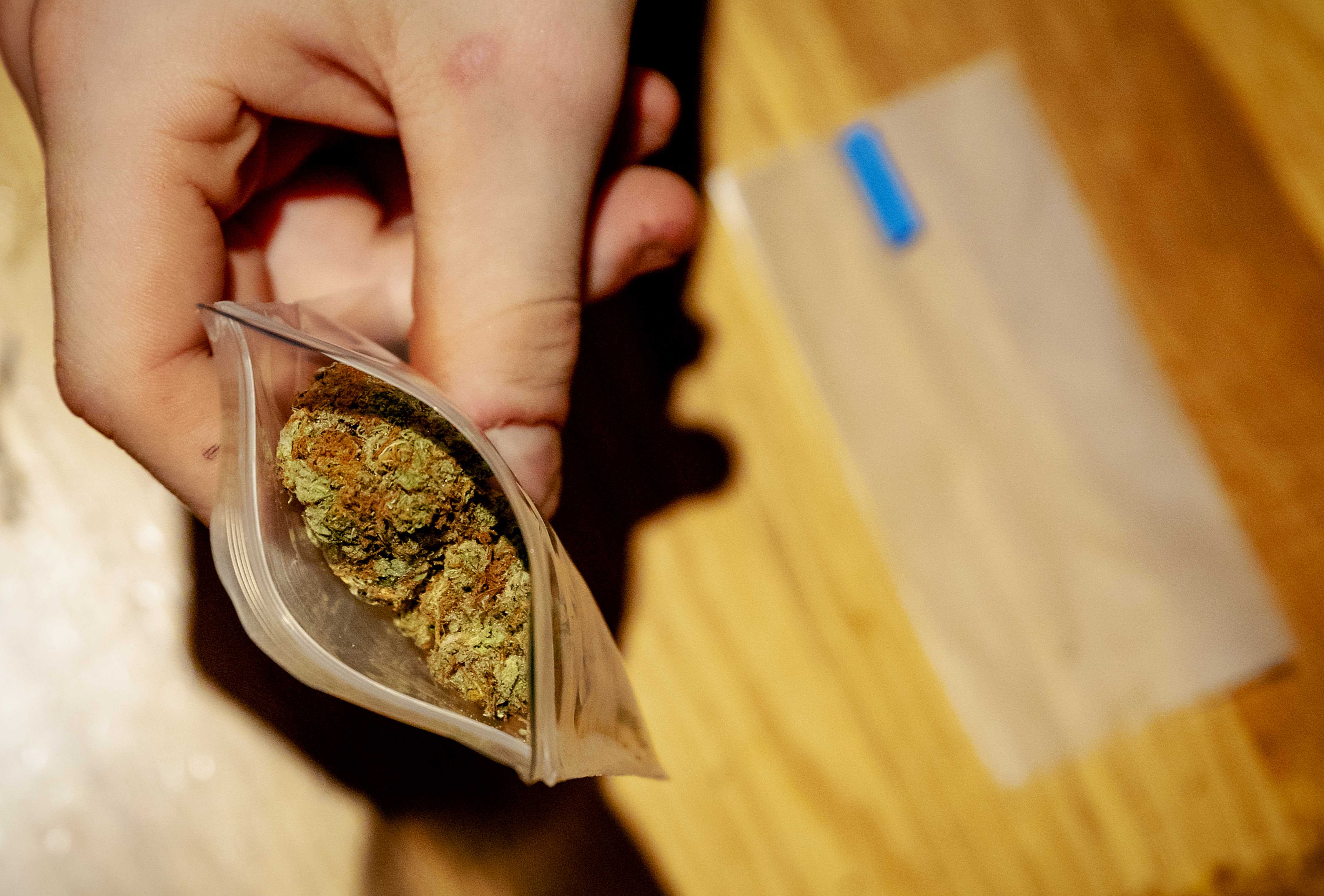 Marihuana, paketić marihuane, droga, opijat, Holandija, Hag, Kofi šop Foto:EPA-EFE/ROBIN VAN LONKHUIJSEN