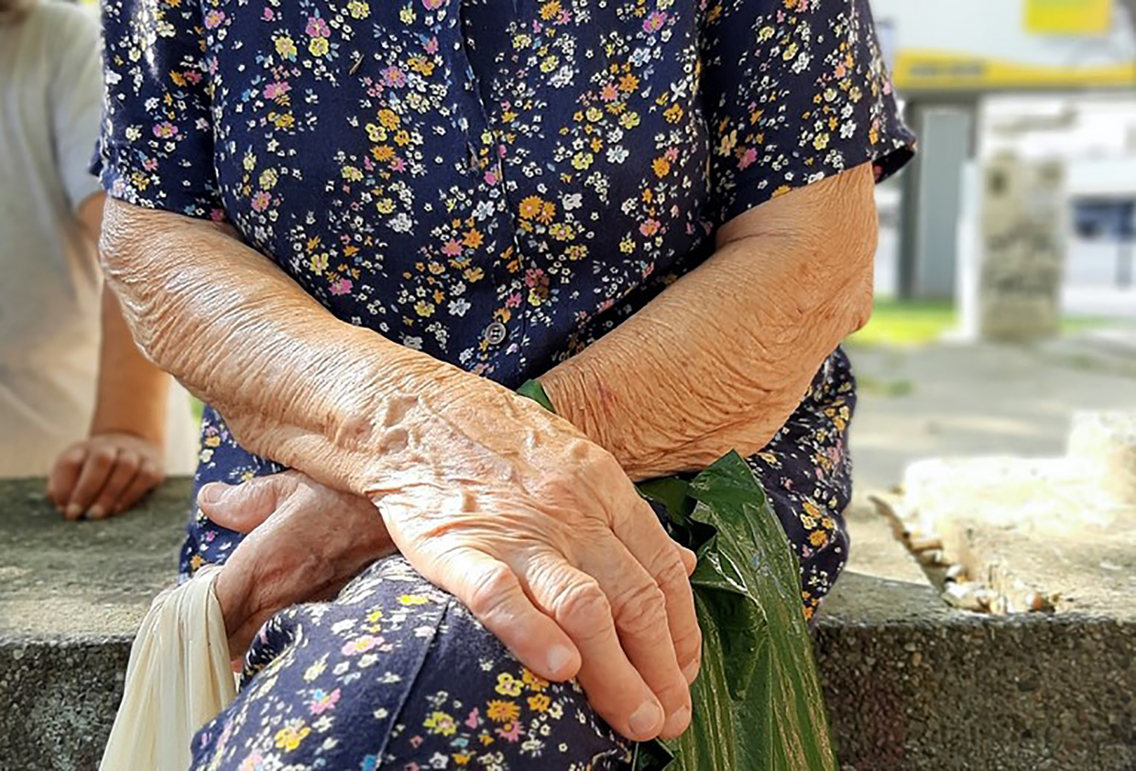 Krov nad glavom Foto: Rada Krstanović