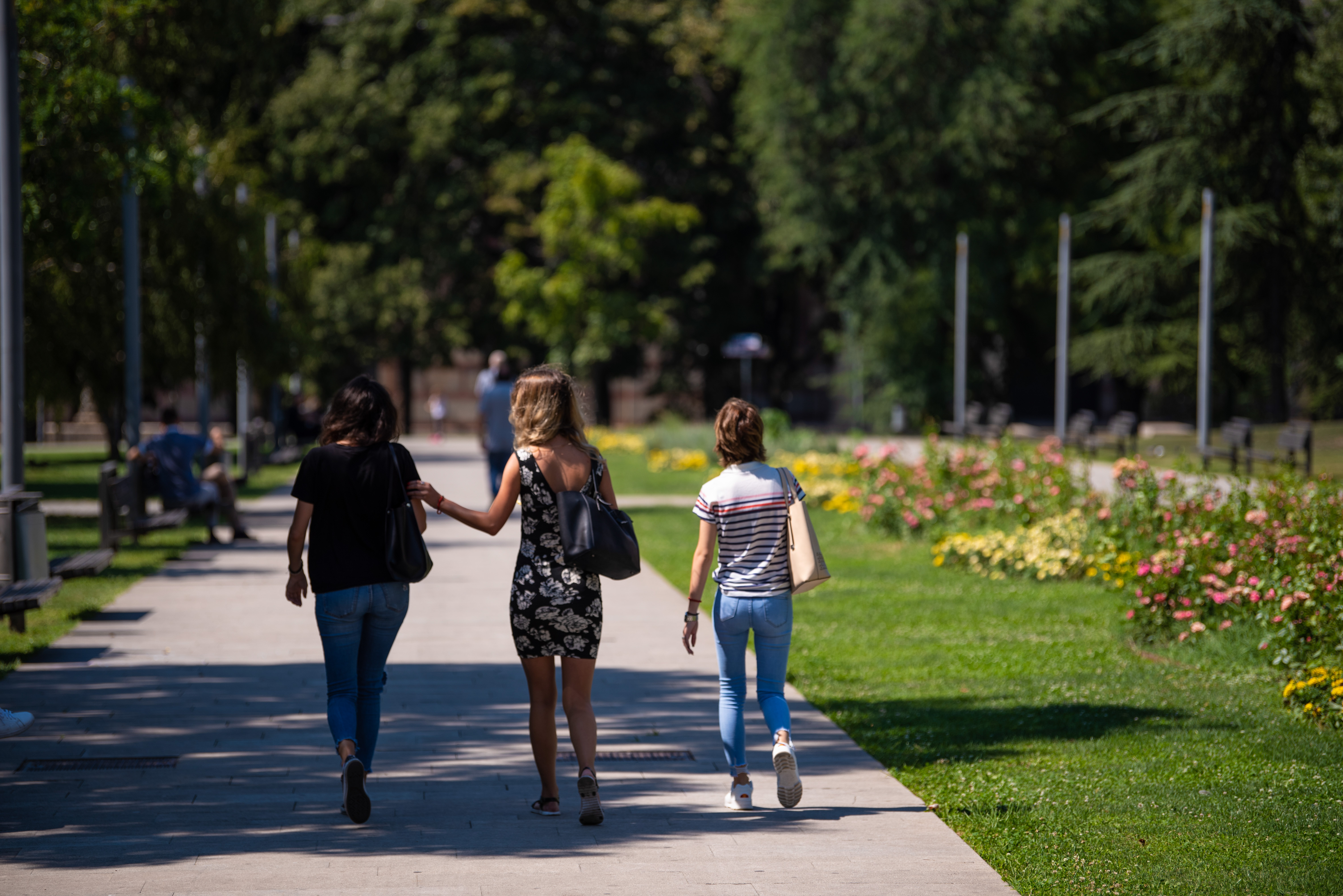 Park za Milicu
Beograd 18.08.2020. Vrućina, leto, leto u Beogradu, park, Tašmajdan Foto: Dragan Mujan/Nova.rs