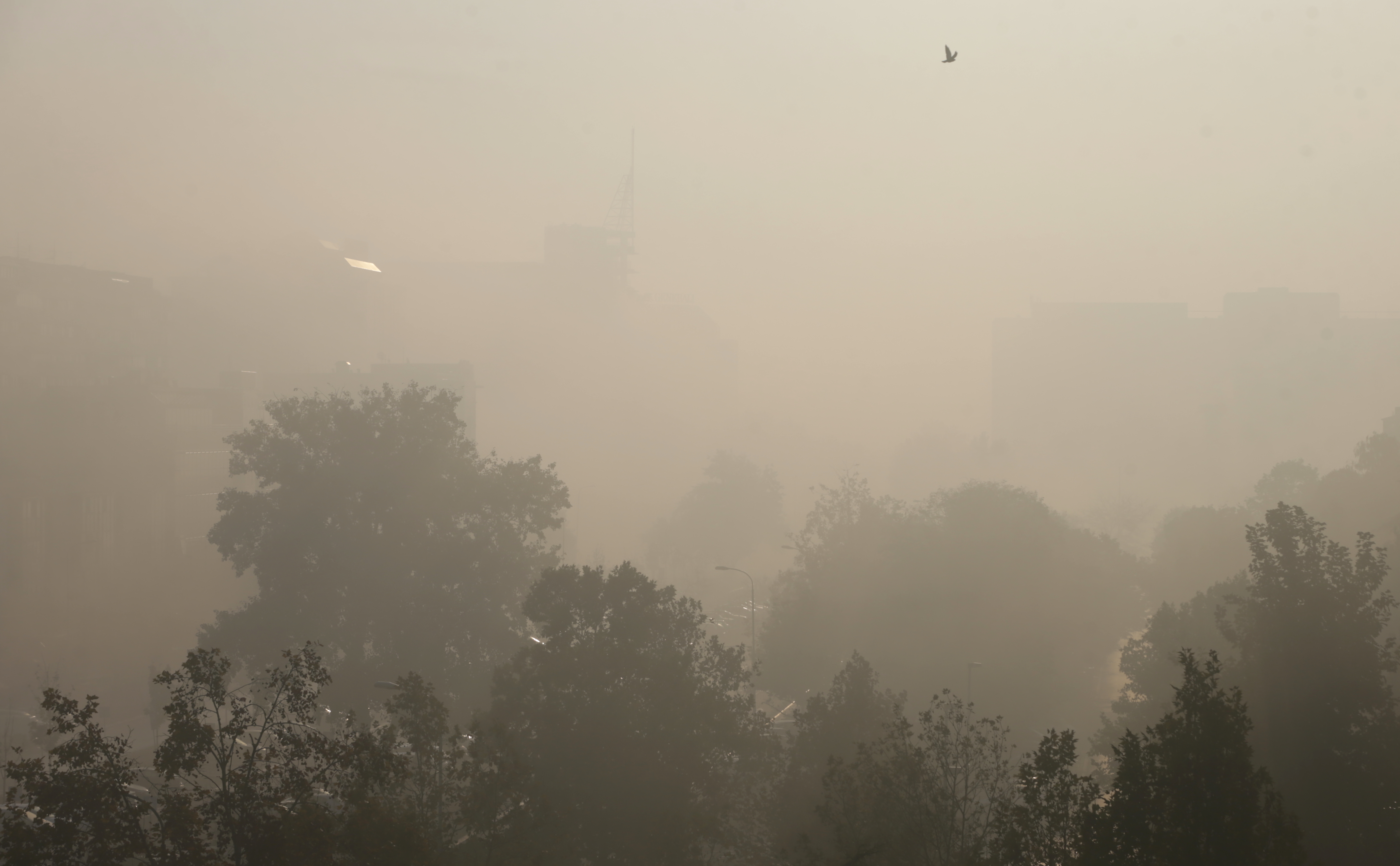 Kragujevac zagađenje Foto:EPA-EFE/ANDREJ CUKIC
