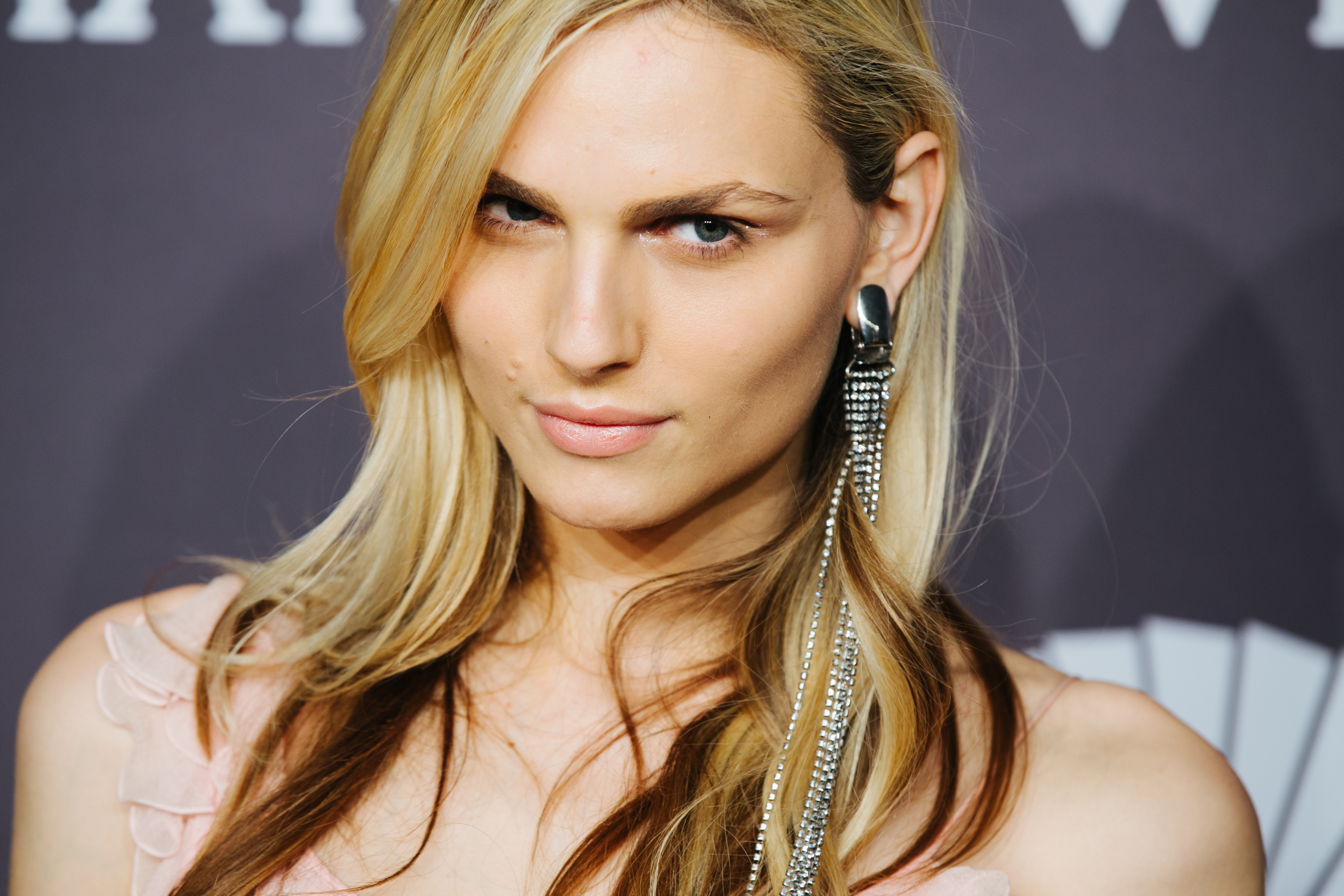 Andreja Pejić, 2017 amfAR New York Gala in New York