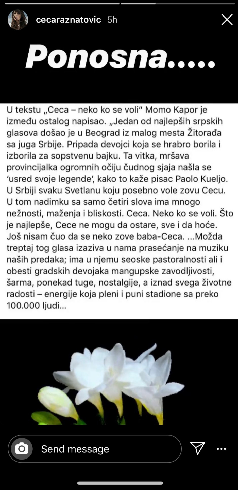 Ceca Ražnatović, Svetlana Ražnatović Foto: Instagram/cecaraznatovic