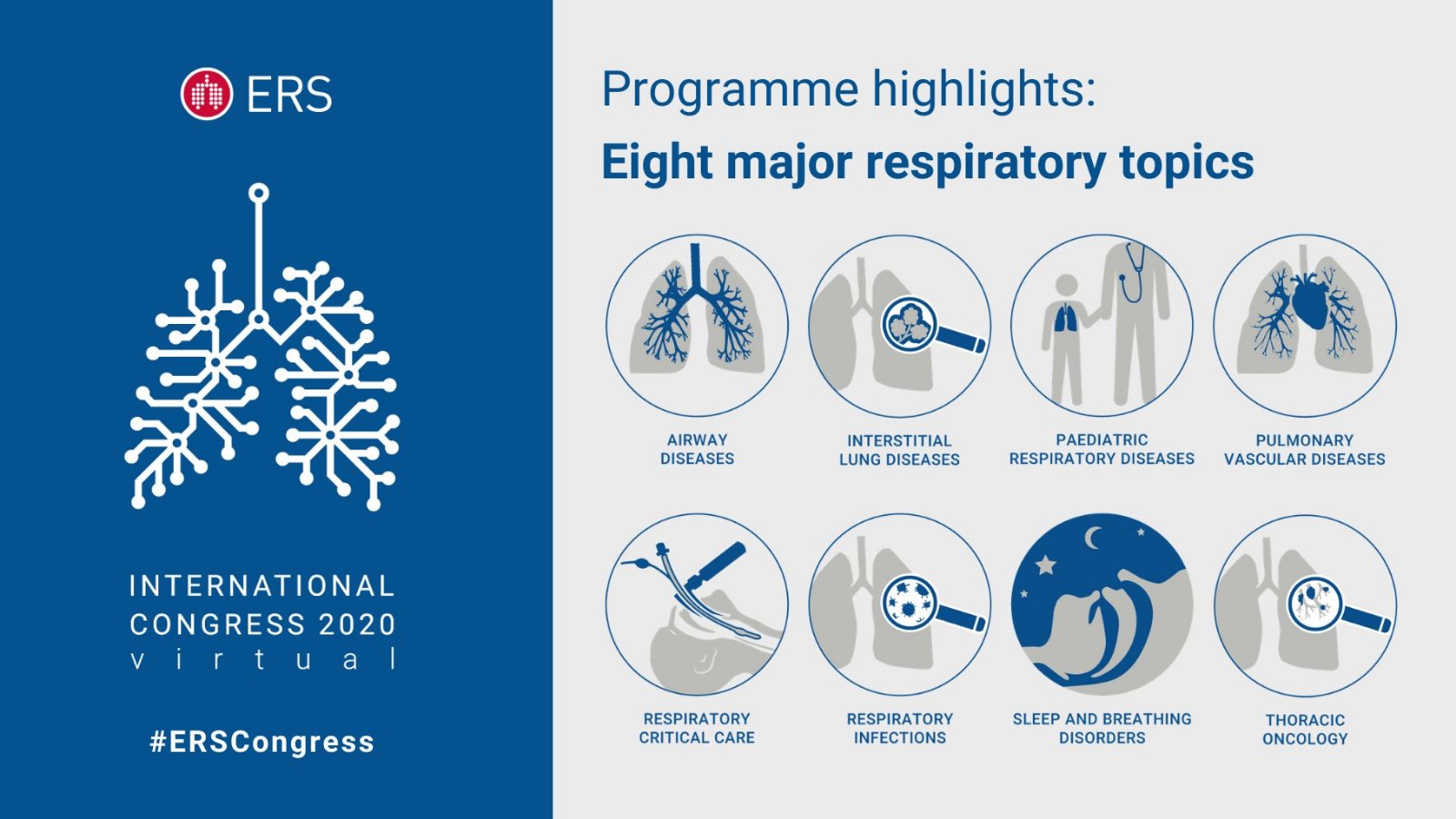 Slavica Plavšić, prosledila Ivana Vulović