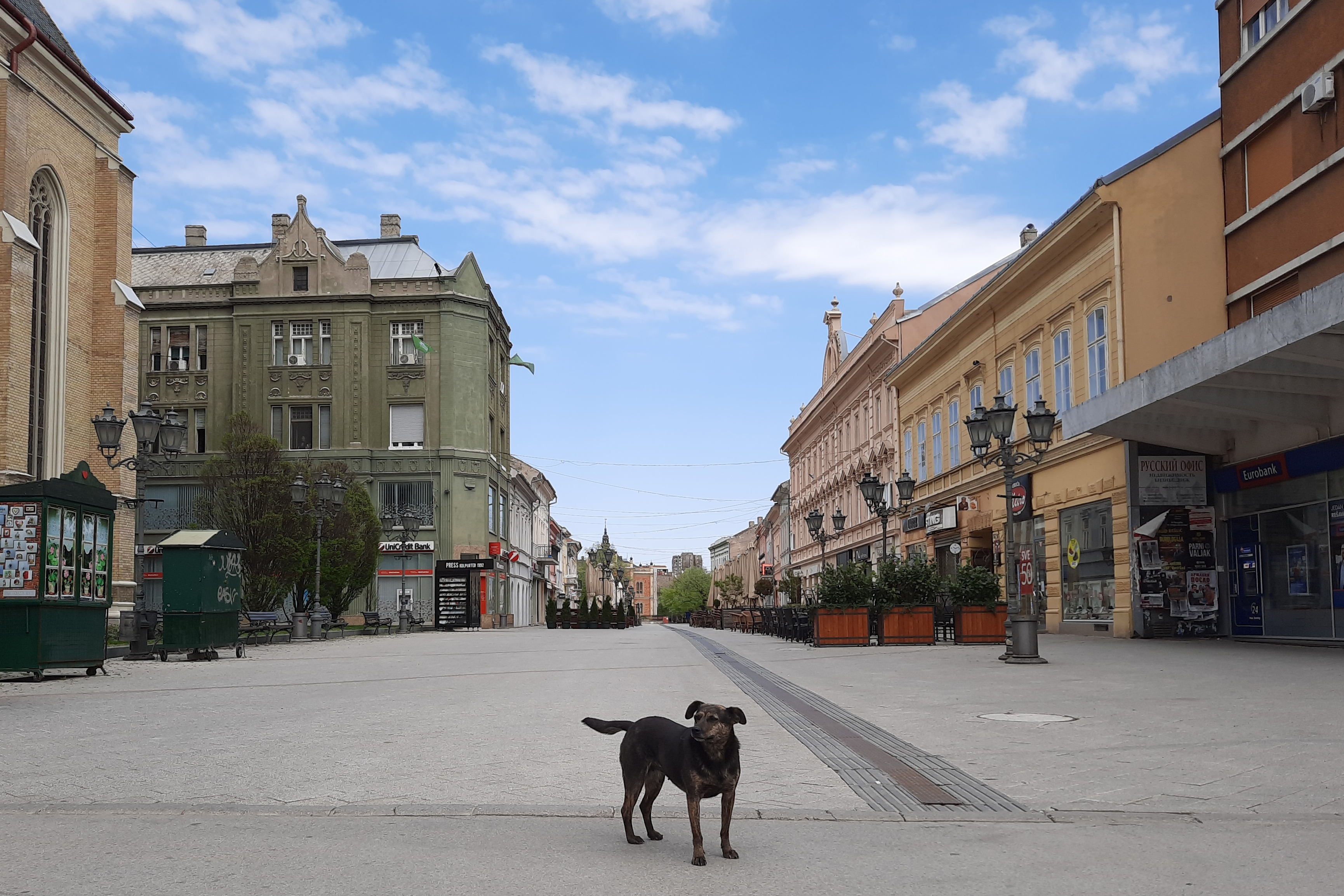 Novi Sad 11.04.2020. Proleće, Koronavirus, policijski čas, vikend, puste ulice, pust grad Foto: Ana Hegediš Lalić/Nova.rs