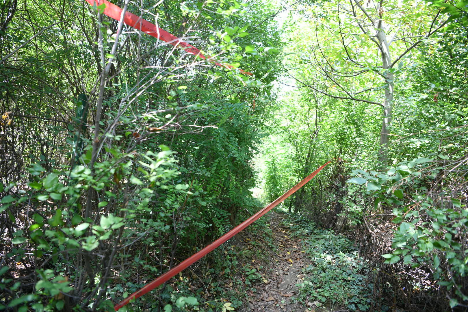 Beograd 20. avgust 2020. Kostunjak gradiliste ogradjena suma Foto:Vesna Lalić/Nova.rs