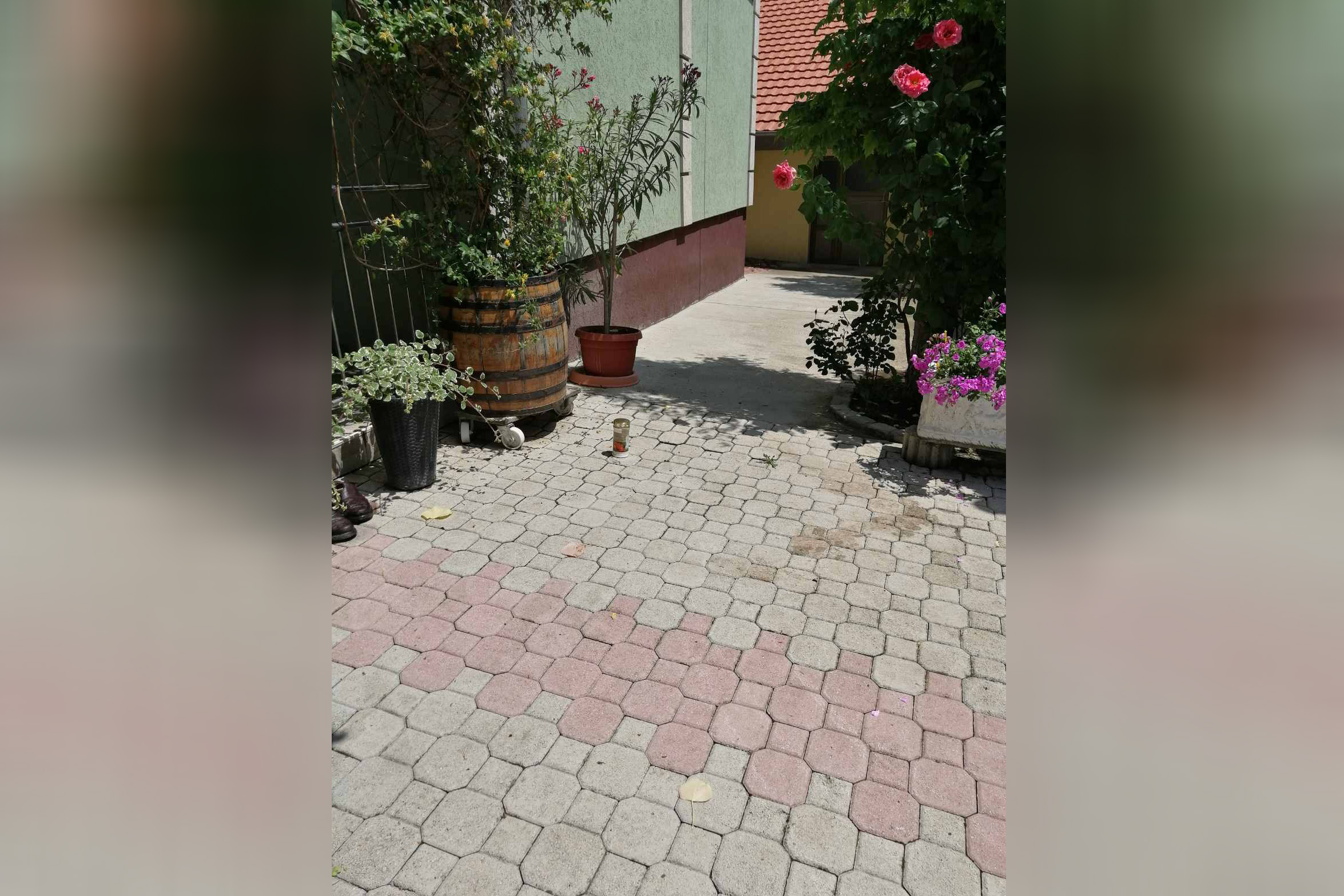 Negotin, ubistvo