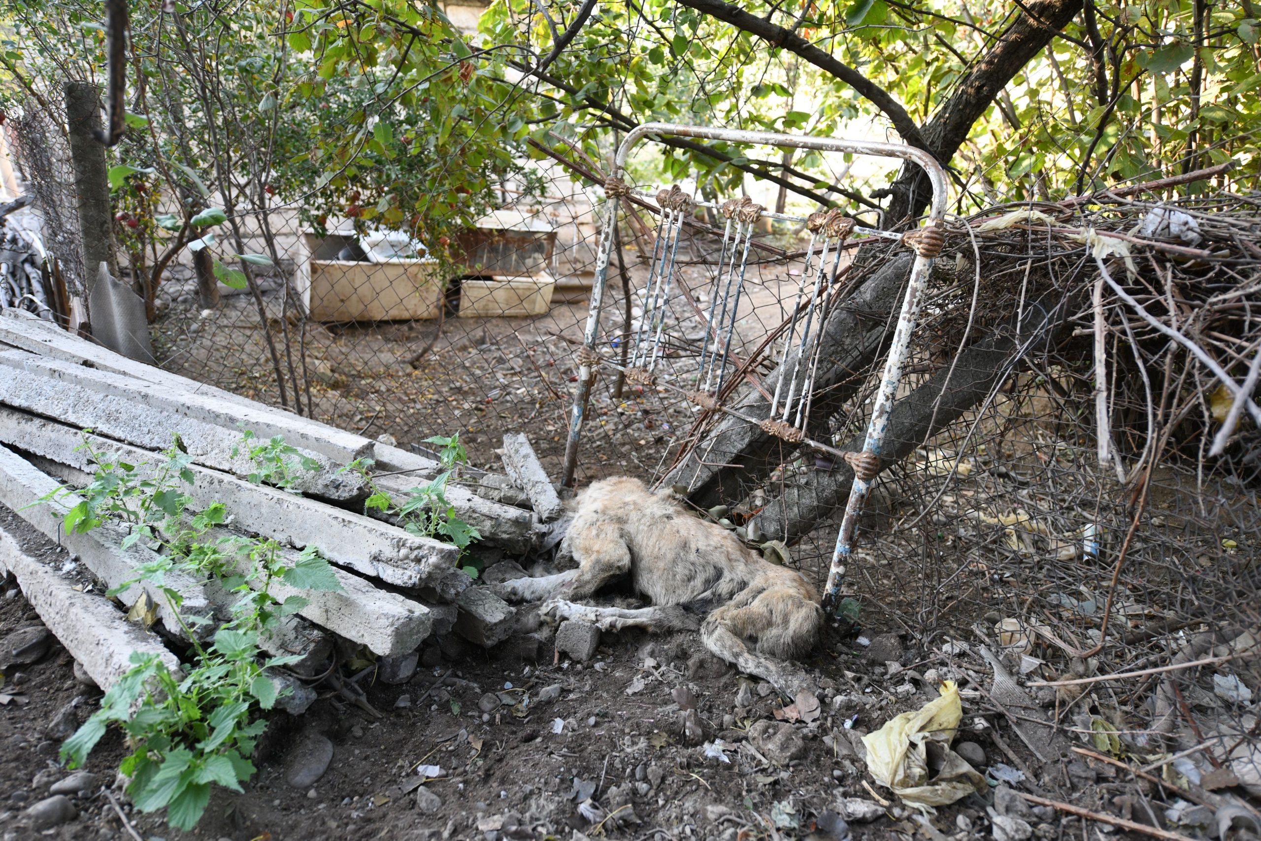Martakert, Jermenija, 18.10.2020. Rat, ratno stanje, ratno područje Foto: Filip Krainčanić/Nova.rs