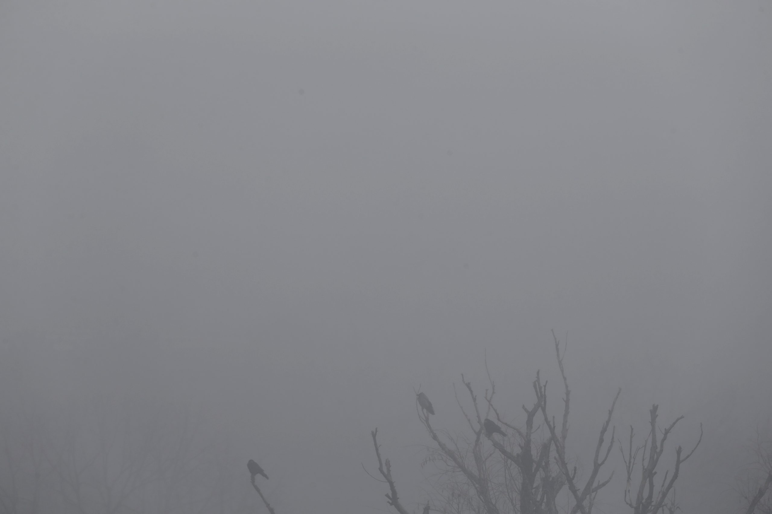 Ziđin Bor Koper zagađenje Foto:EPA-EFE/ANDREJ CUKIC