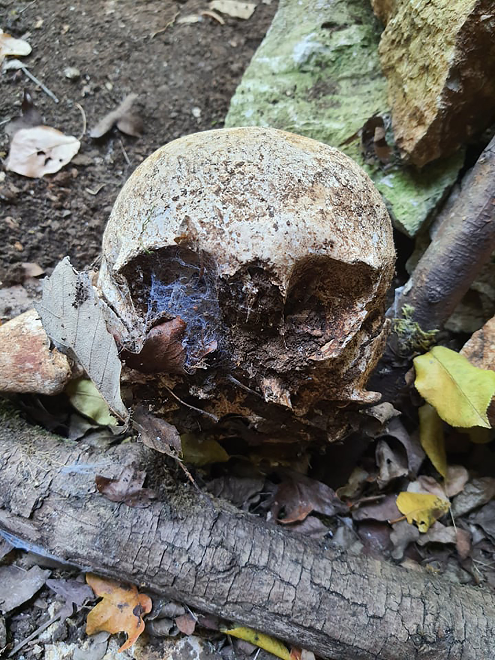 pećina kod sela Prlite kod Zaječara pronadjene
ljudske lobanje i kosti.
