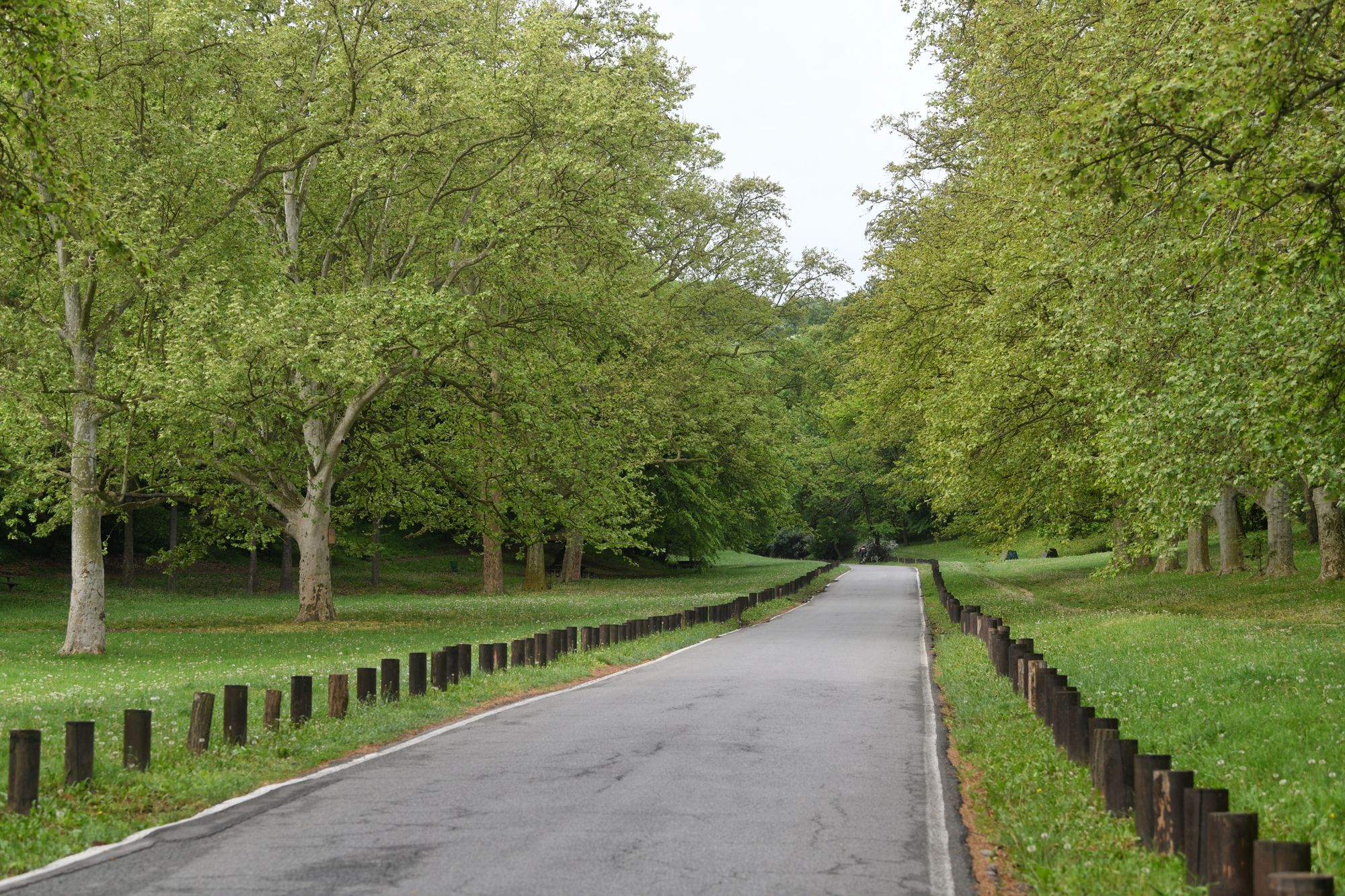 Beograd, 2.5.2020. Košutnjak, jutro, koronavirus, pust park Foto: Filip Krainčanić/Nova.rs