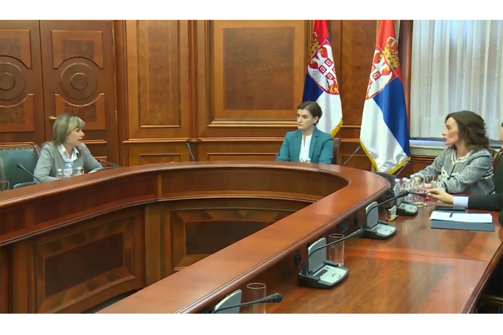 Maja Pavlović, sastanak sa Anom Brnabić i Oliverom Zekić