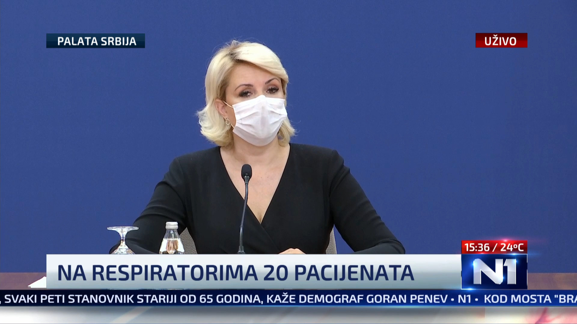 Darja Kisic Tepavcevic
