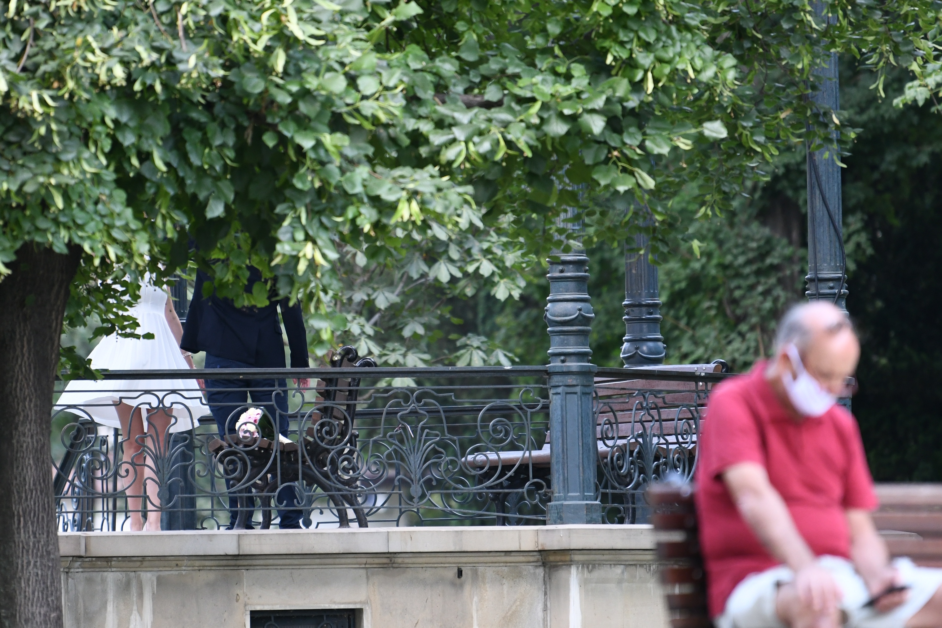 Beograd 16.07.2020. Lepo vreme, leto, park, Kalemegdan, koronavirus Foto: Vesna Lalić/Nova.rs