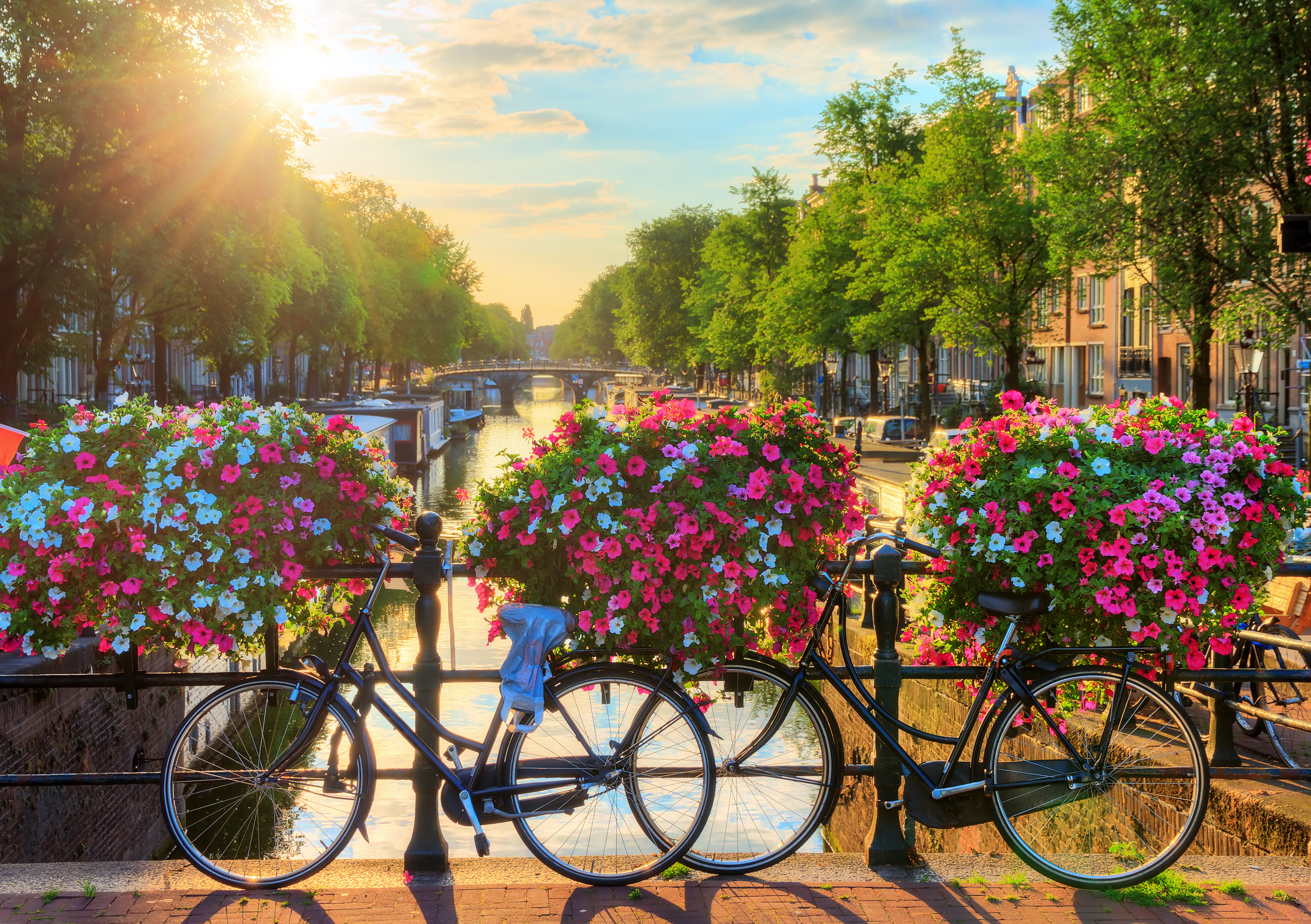 shutterstock_608658449