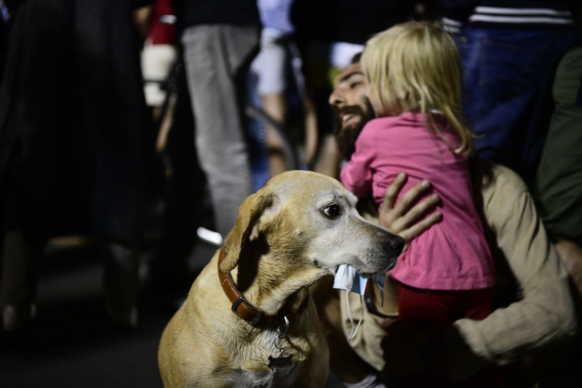 Beograd 13. jul 2020. Sedmi dan protesta ispred Skupstine Srbije pas zastitna maska Foto:Goran Srdanov/Nova.rs