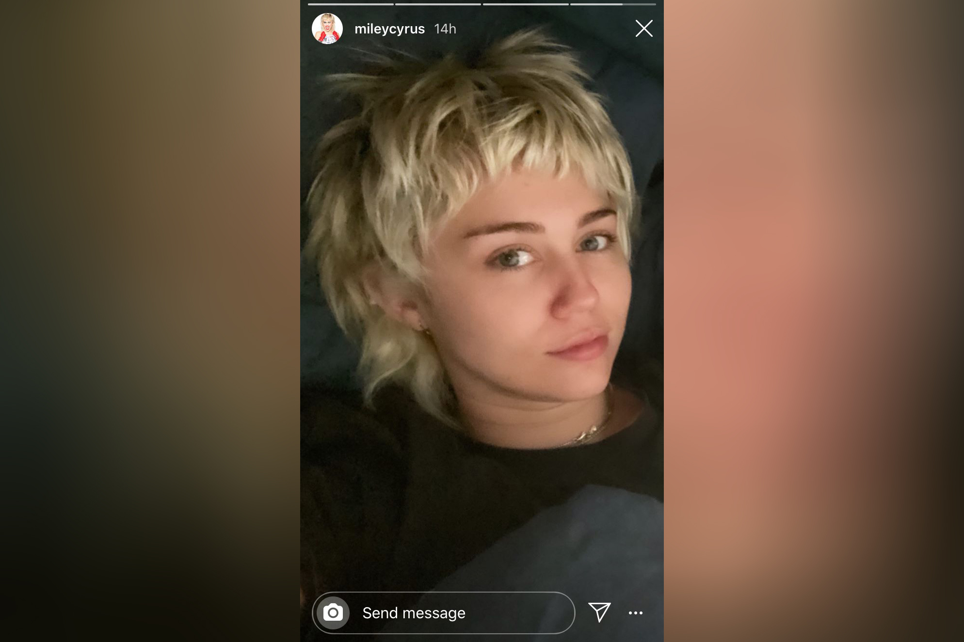 Majli Sajrus Foto: Instagram/mileycyrus