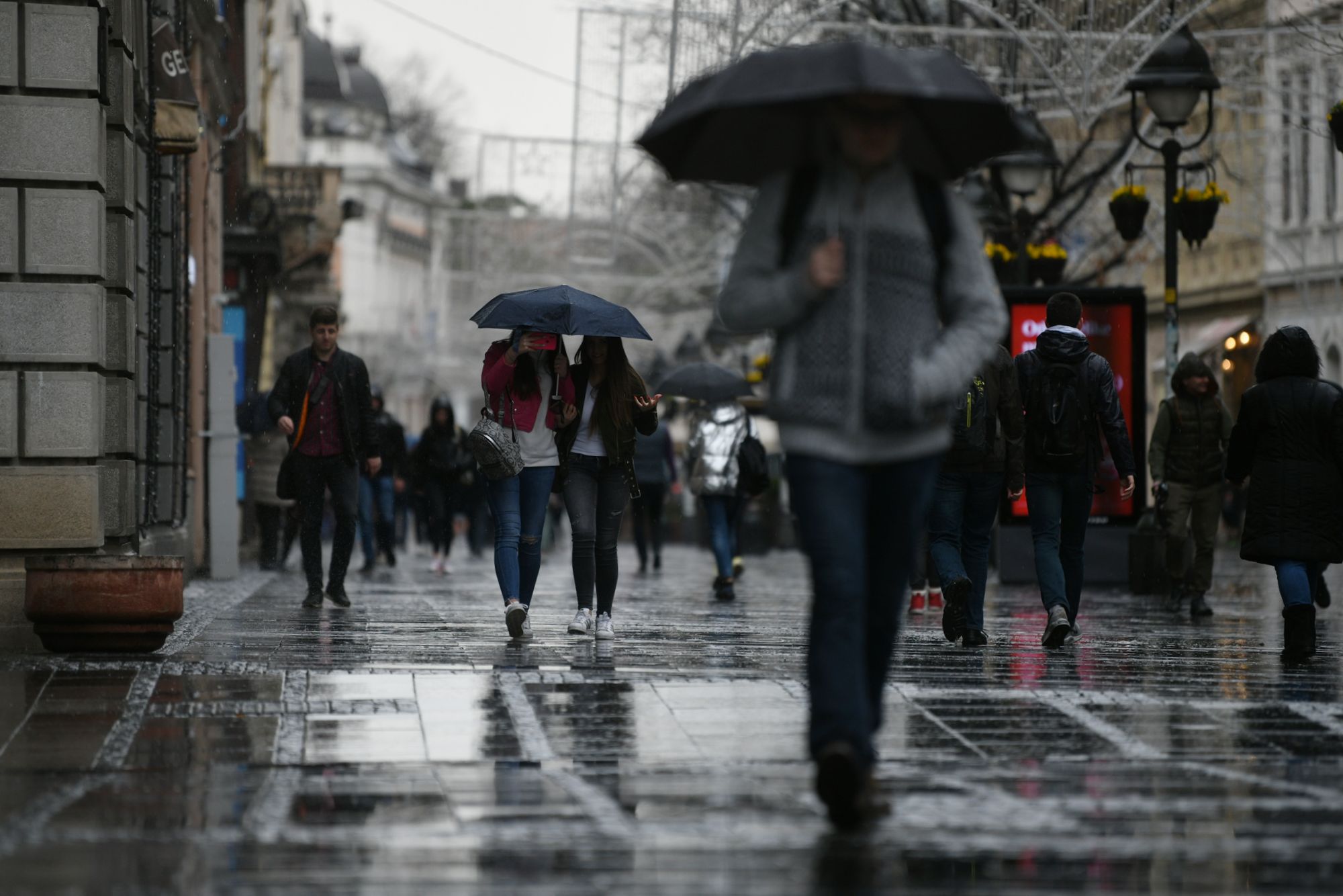 Kiša Foto: Filip Krainčanić/Nova.rs