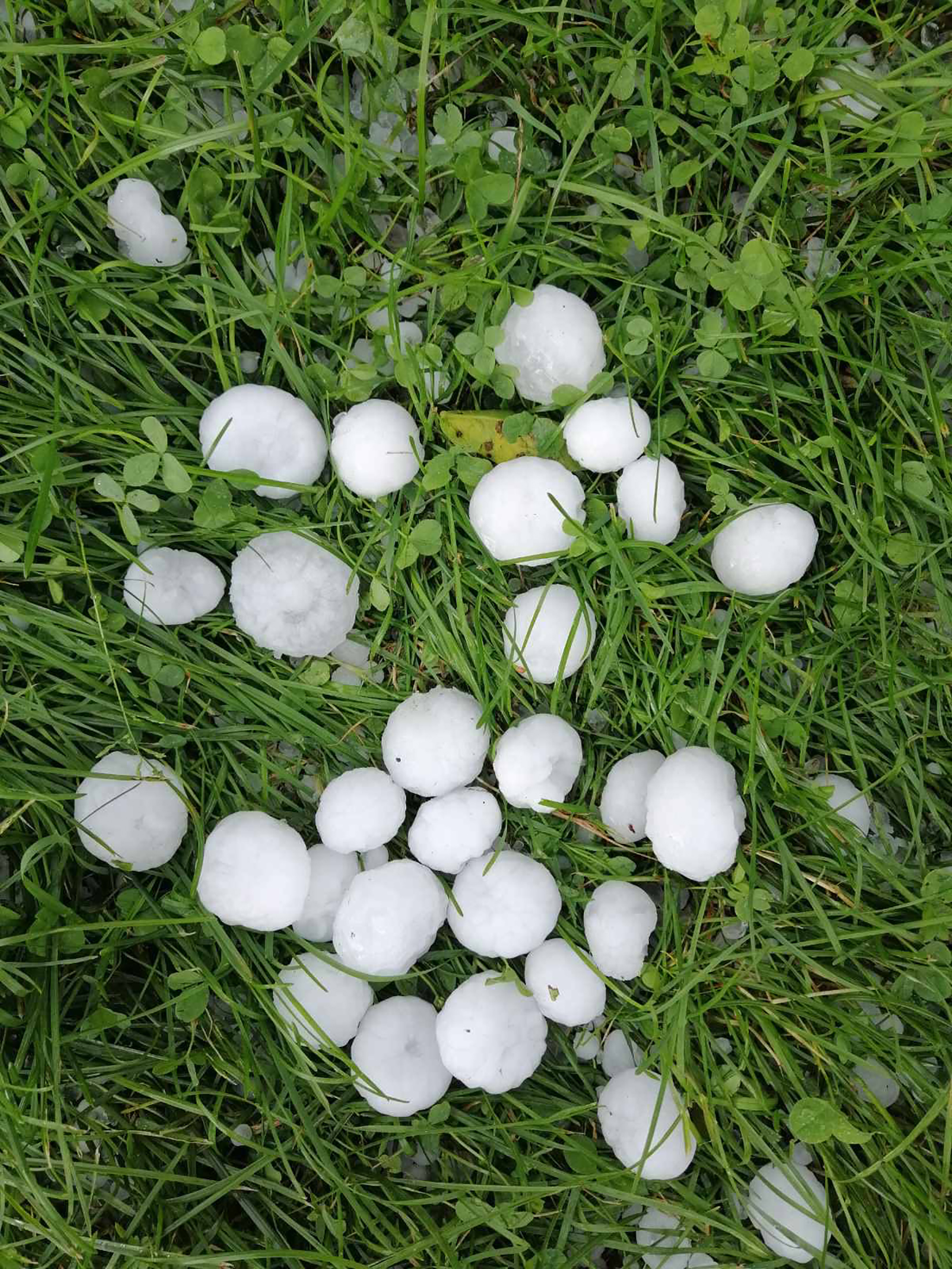 Ivanjica, grad