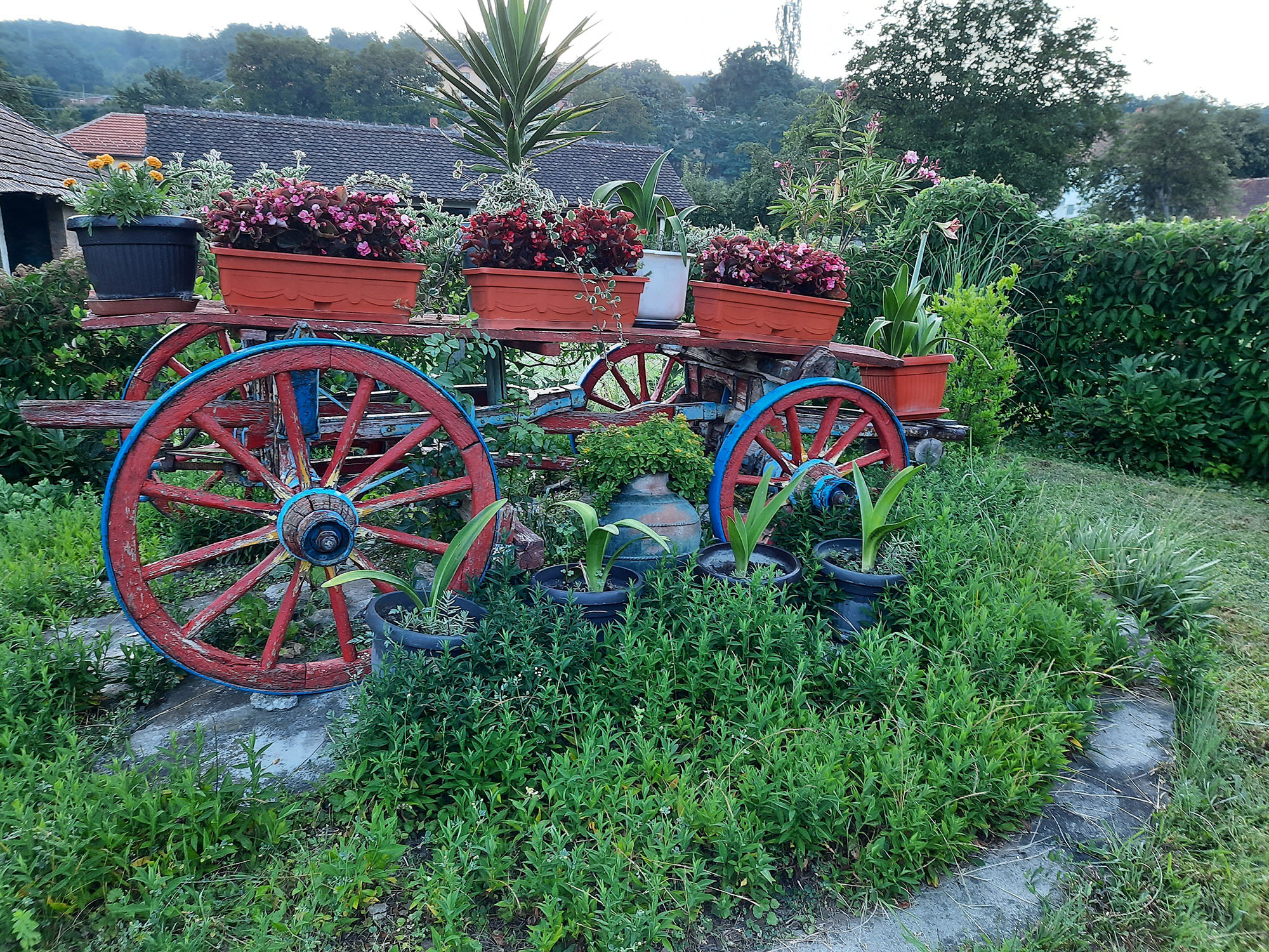 Selo koje ima najlepša dvorišta u Šumadiji