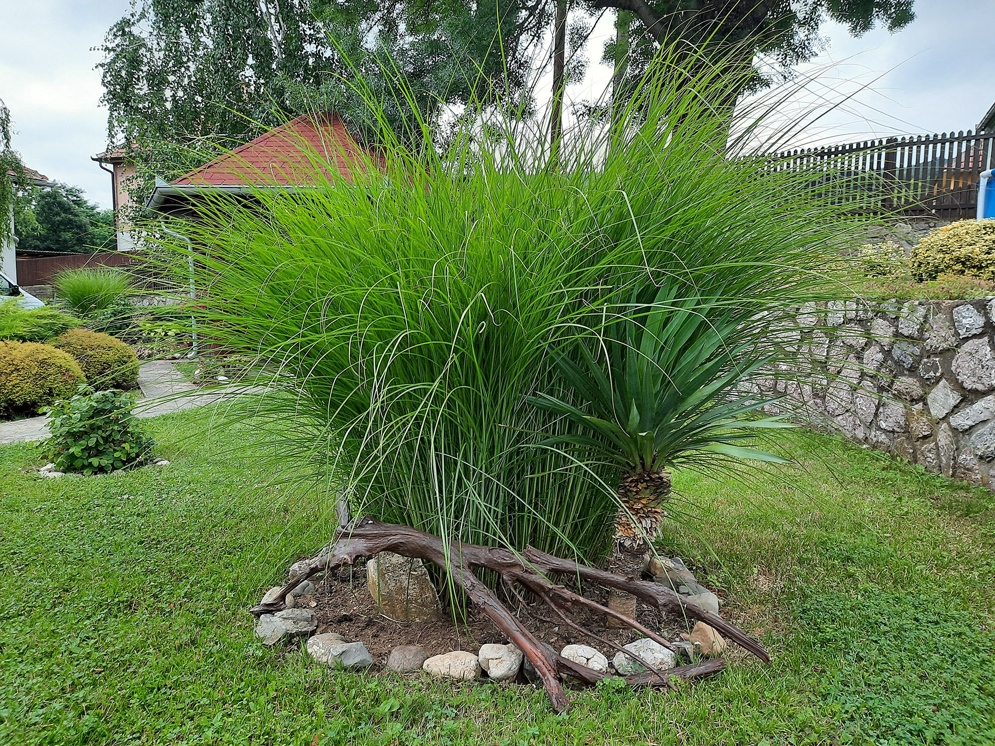 Selo koje ima najlepša dvorišta u Šumadiji