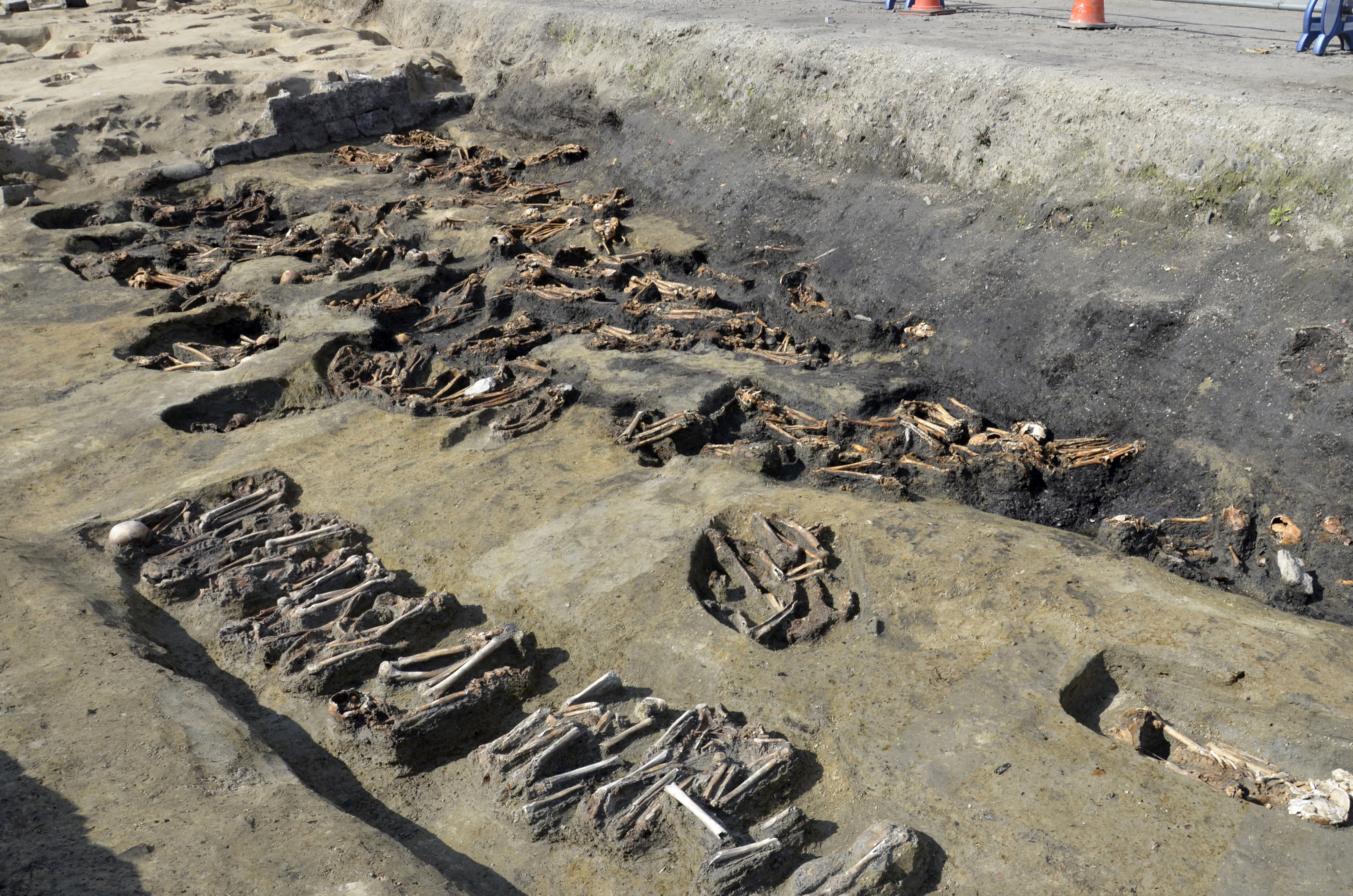 Japan Mass Grave