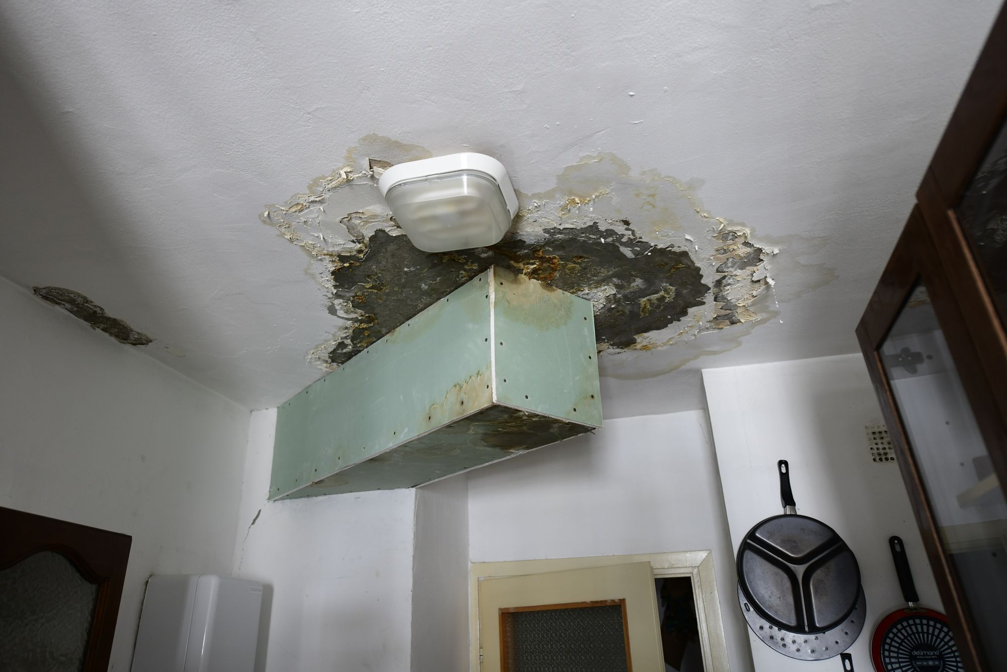 Beograd 28.06.2020. Ankica Milenković, žena, supruga poznatog arhitekte Foto: Goran Srdanov/Nova.rs