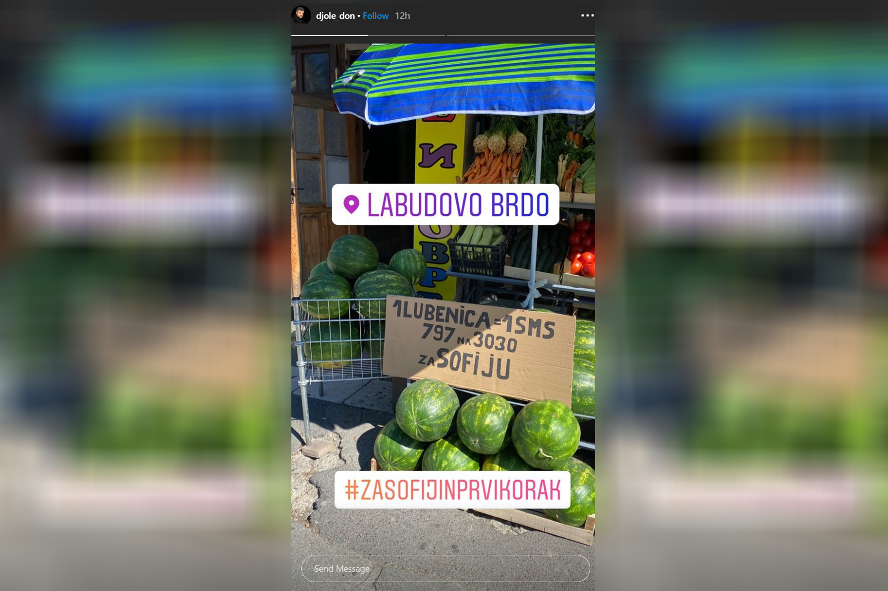 Đorđe Ćurčić, lubenice, za sofiju