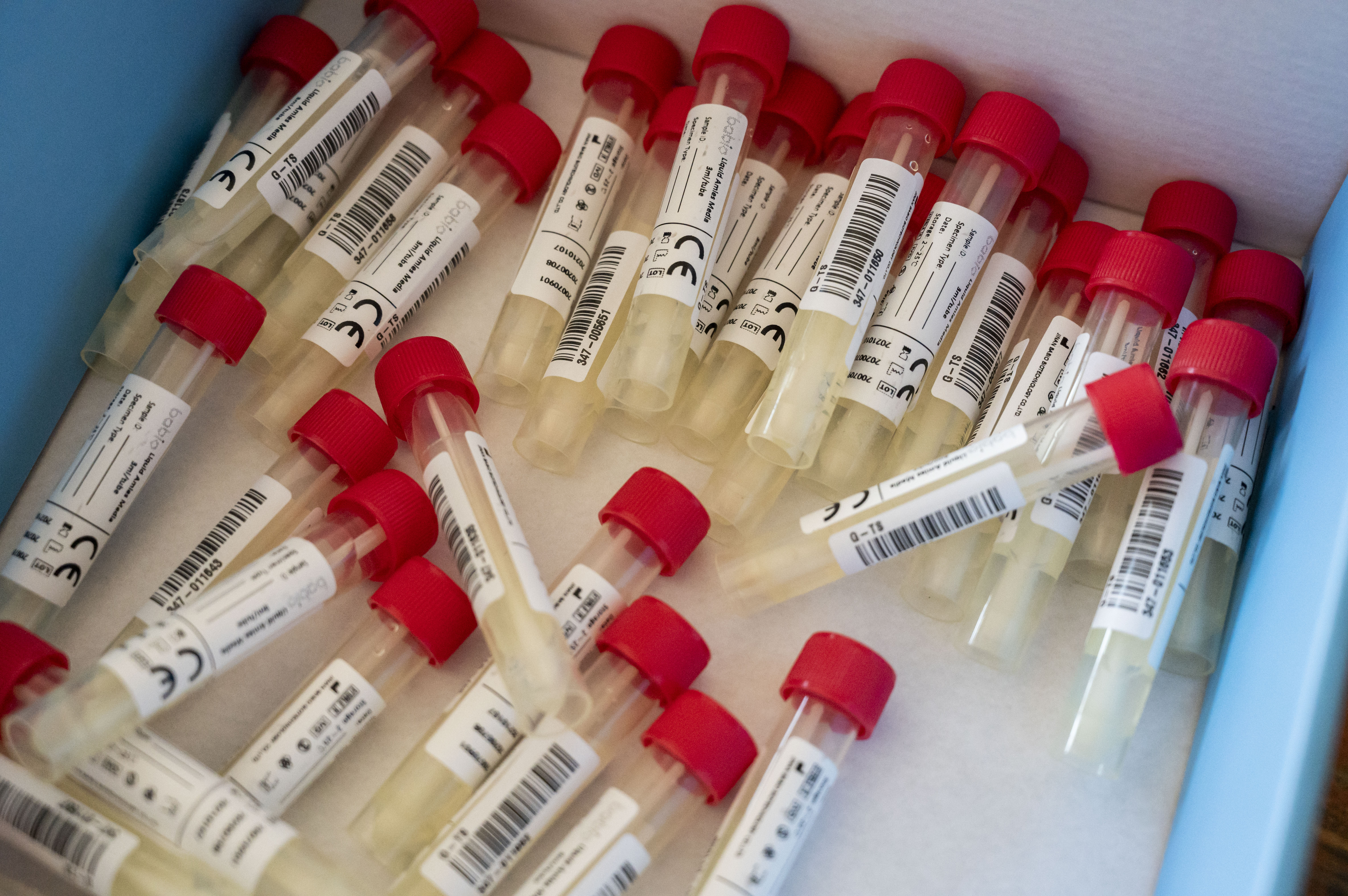 koronavirus test Testing for coronavirus at motorway near German-Austrian border