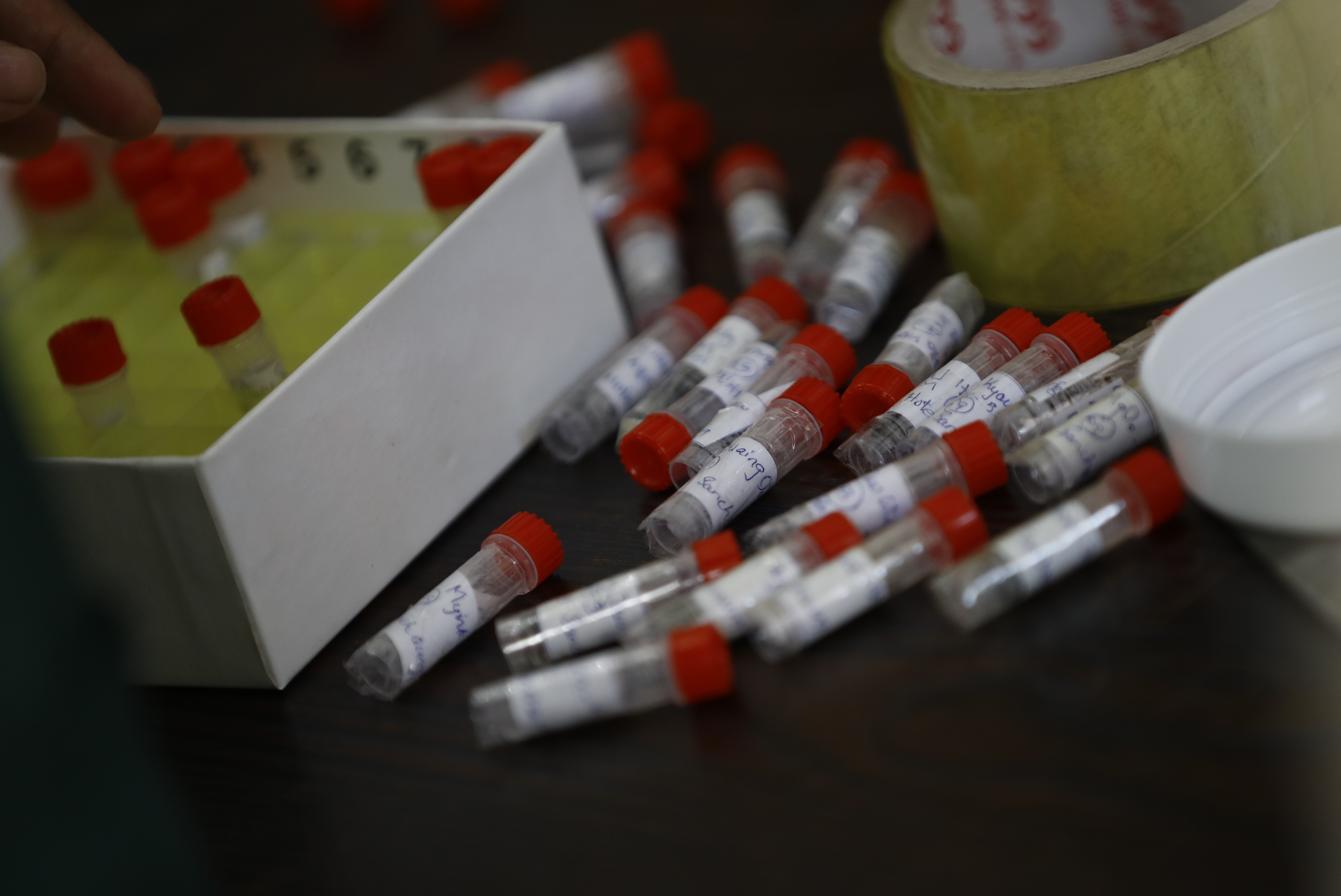 koronavirus testiranje test