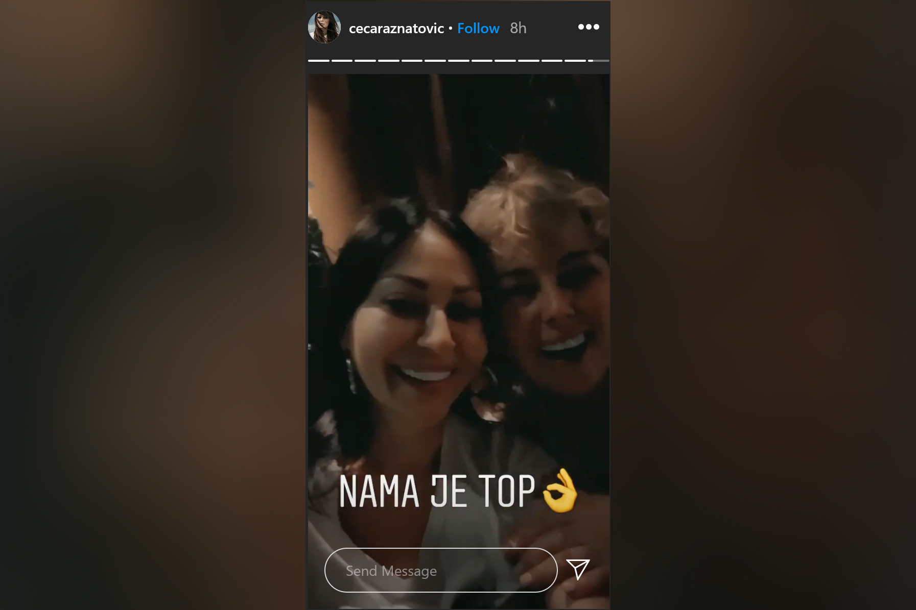 ceca03-foto-PrintscreenInstagramcecaraznatovic.jpg