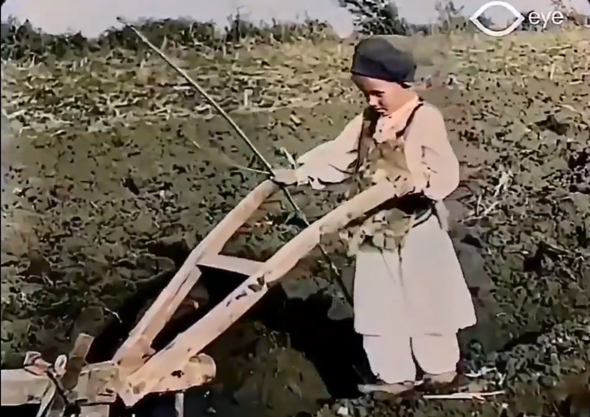 decak ore njivu